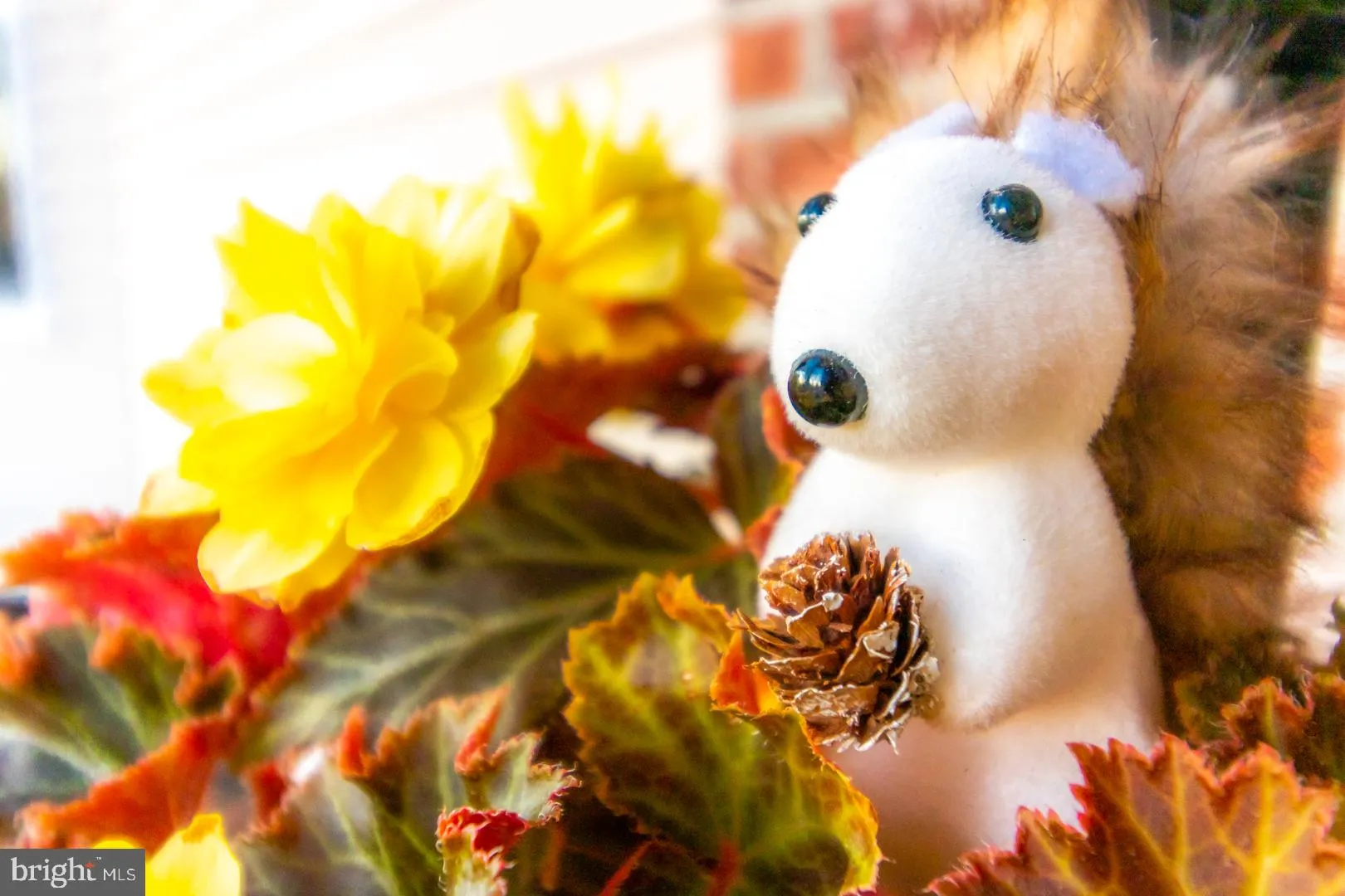 Hamilton, New Jersey 08690, United States, 4 Bedrooms Bedrooms, ,3 BathroomsBathrooms,Residential,Pending,26257