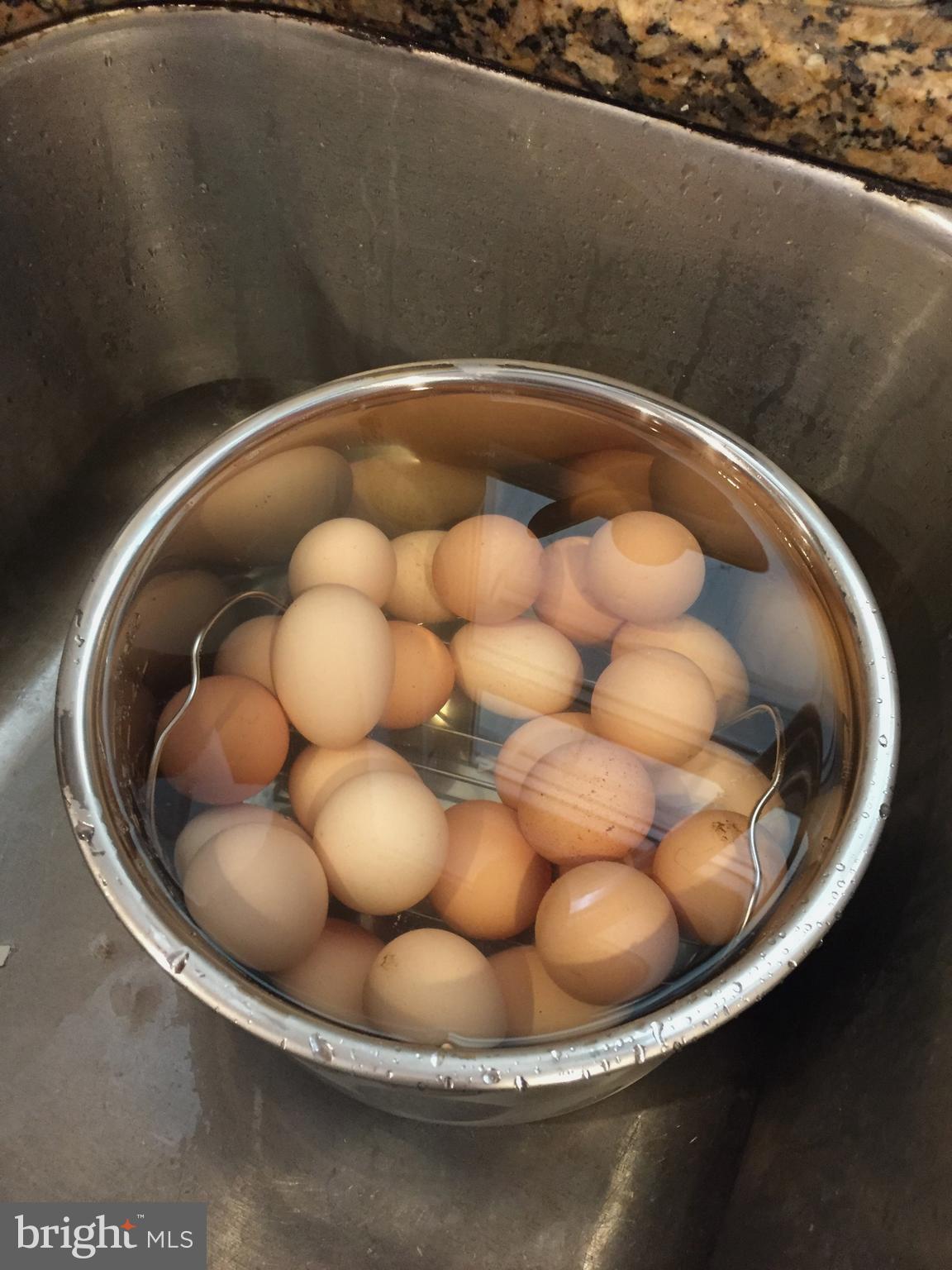 GOLDEN HILL ESTS - Residential