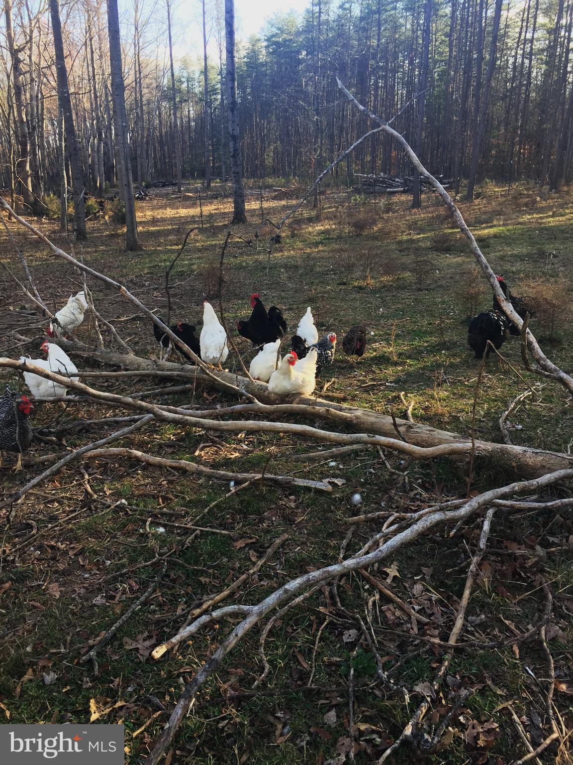 GOLDEN HILL ESTS - Residential