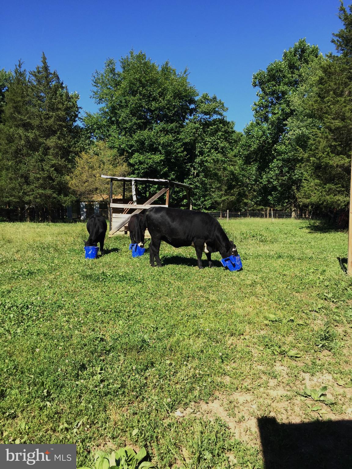 GOLDEN HILL ESTS - Residential