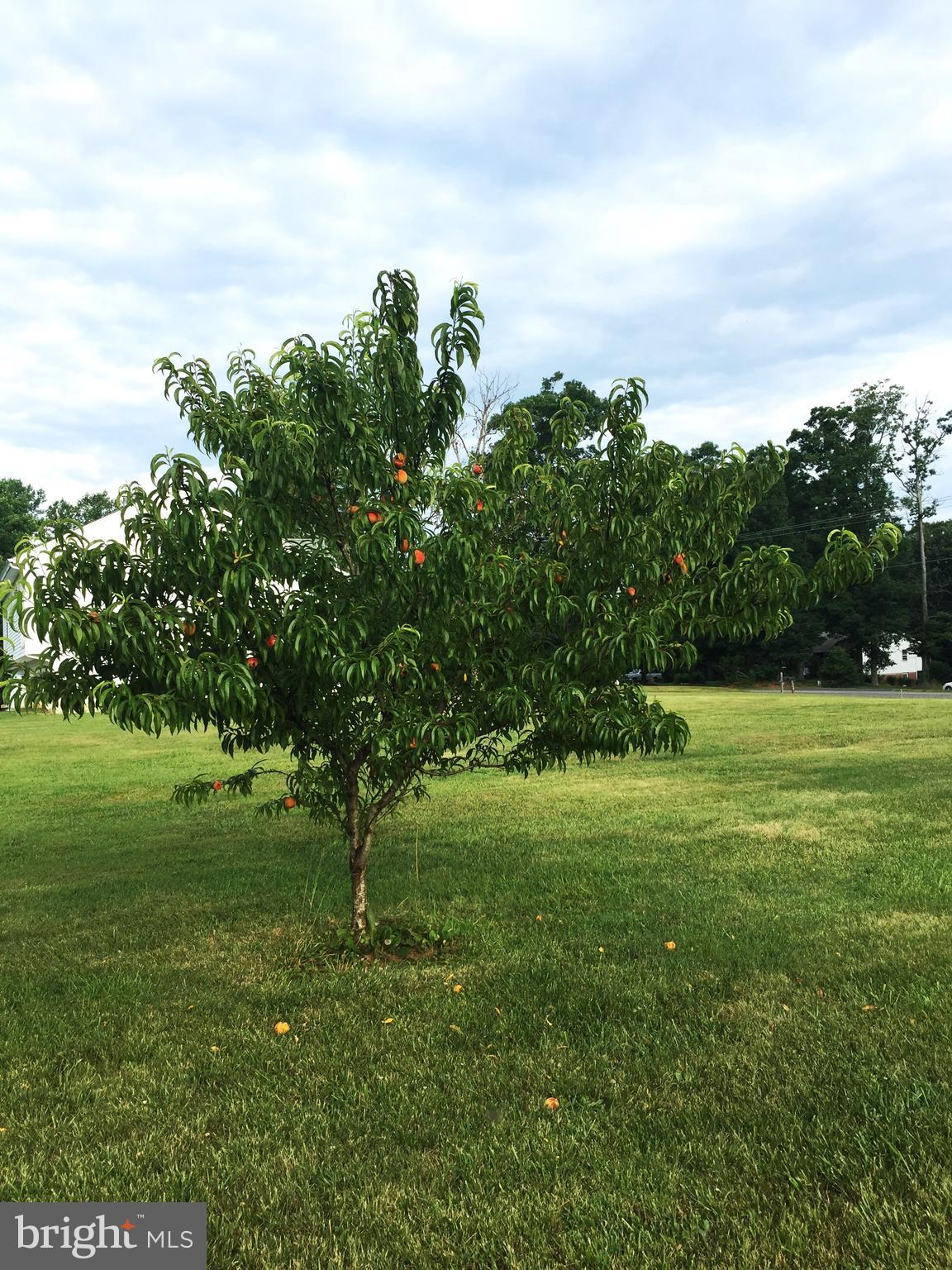 GOLDEN HILL ESTS - Residential