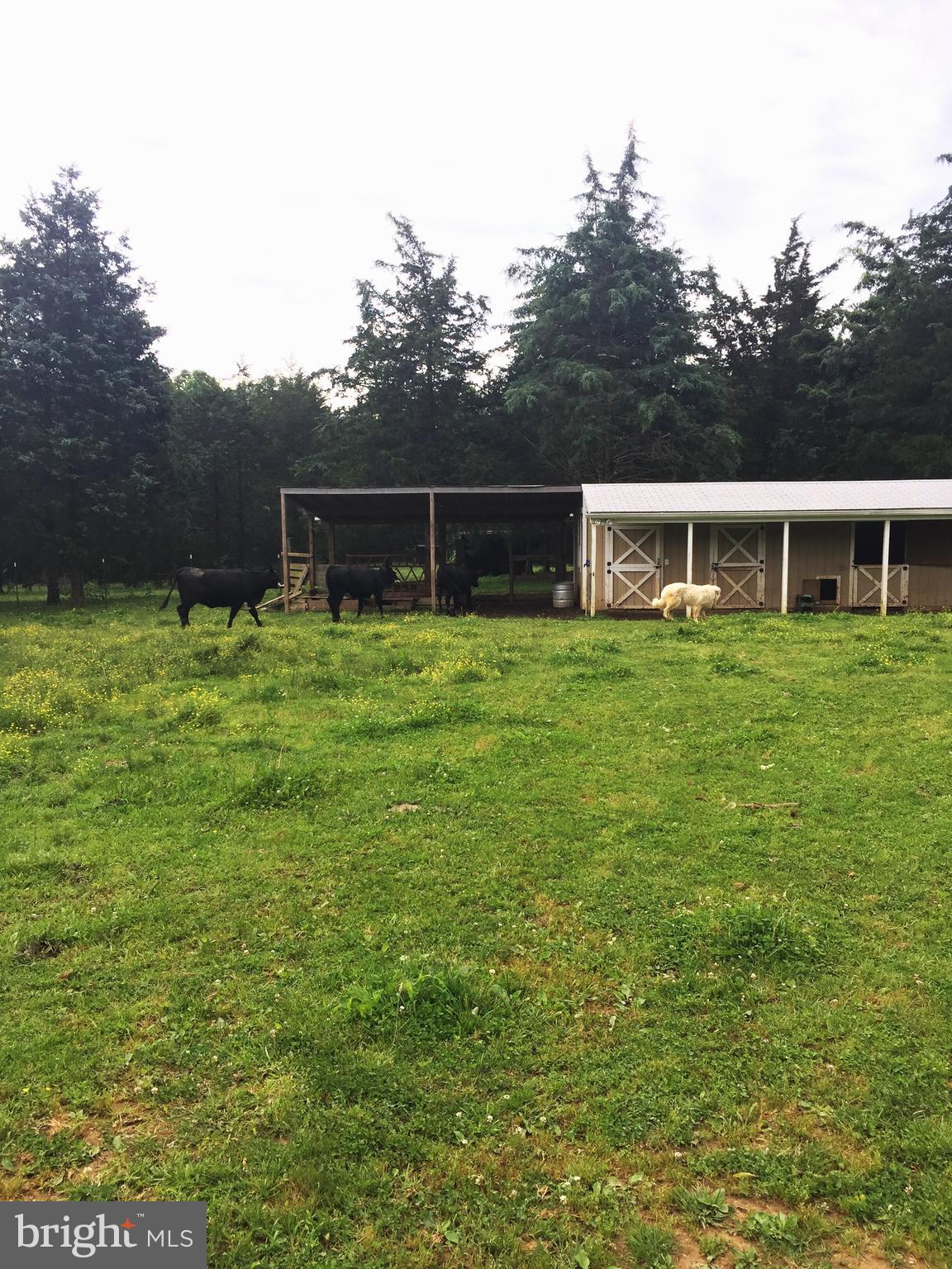 GOLDEN HILL ESTS - Residential