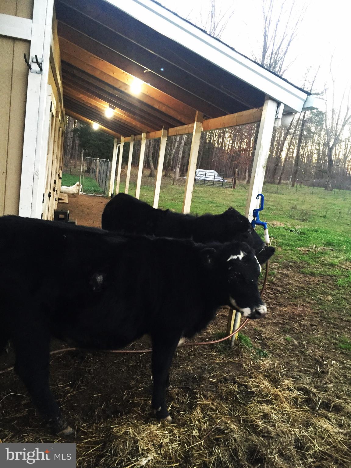 GOLDEN HILL ESTS - Residential