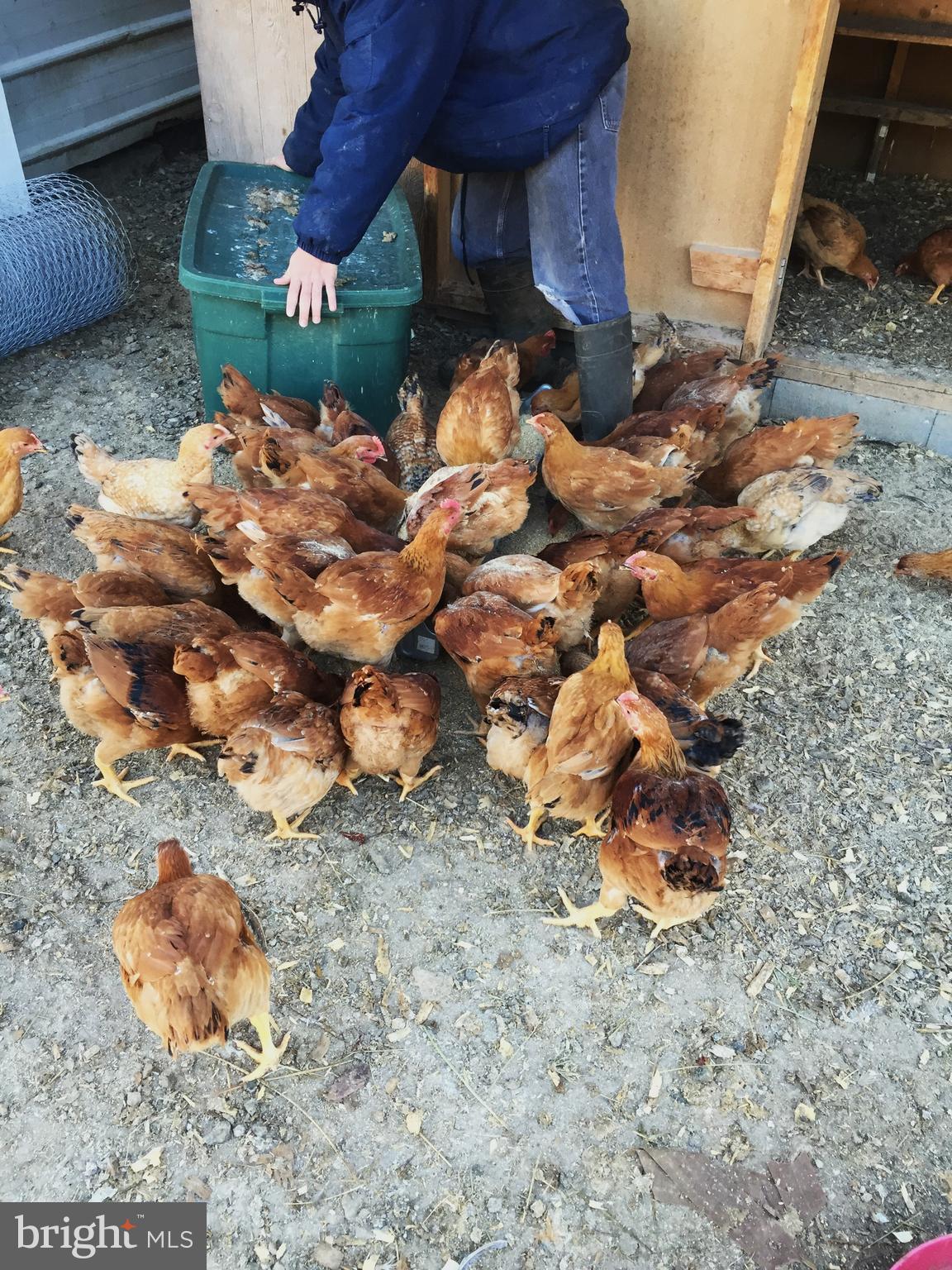 GOLDEN HILL ESTS - Residential