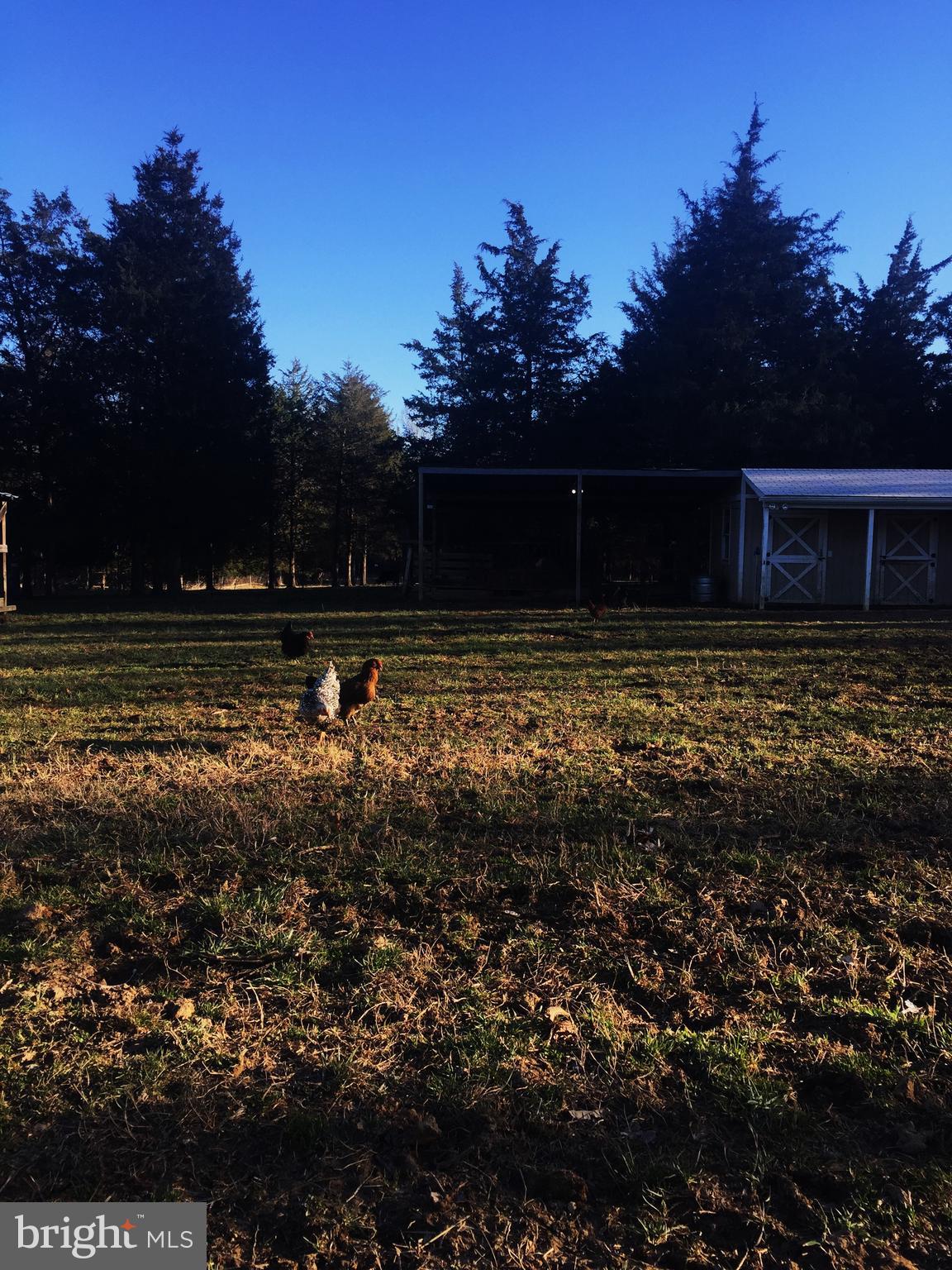 GOLDEN HILL ESTS - Residential