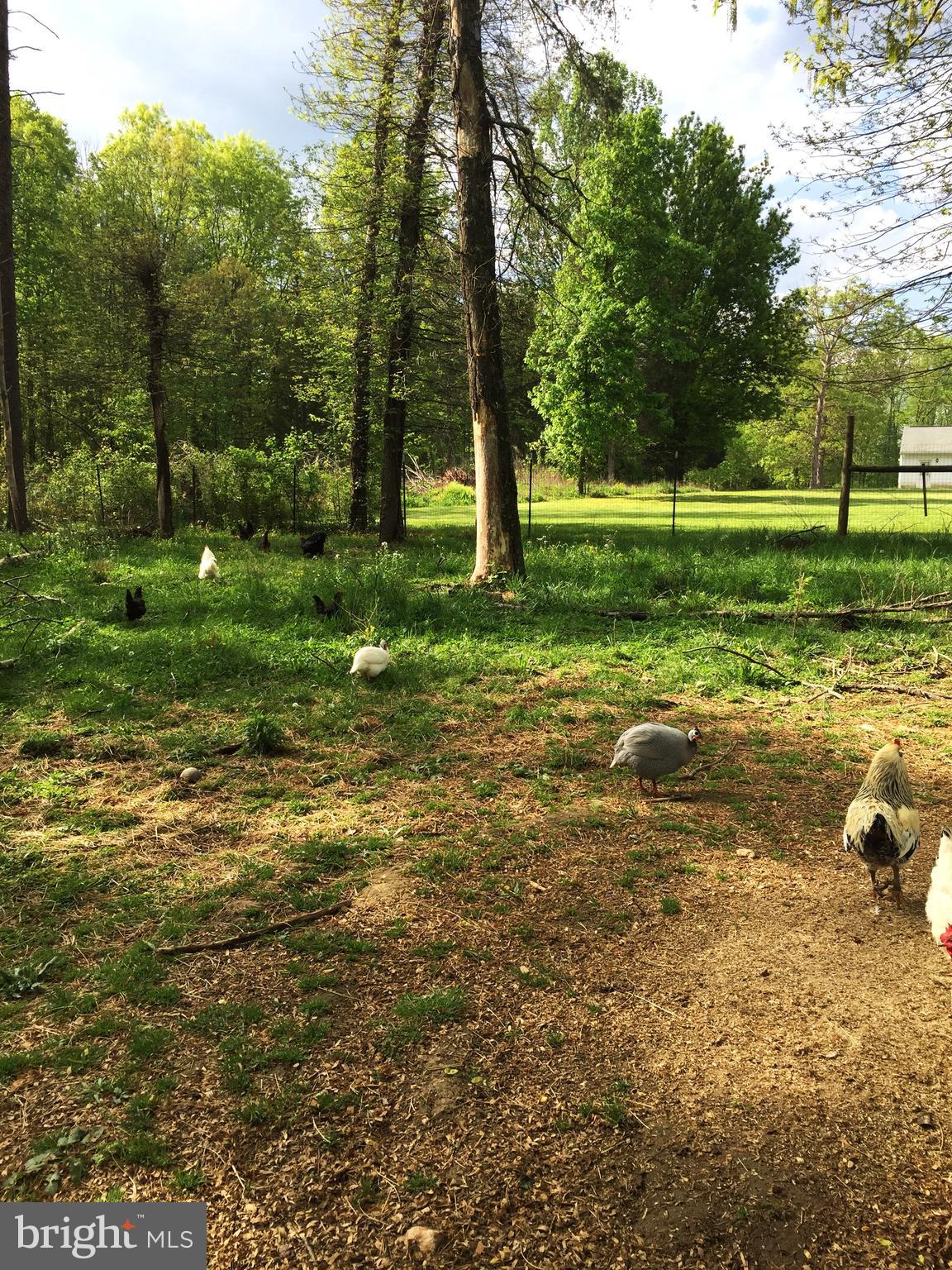 GOLDEN HILL ESTS - Residential