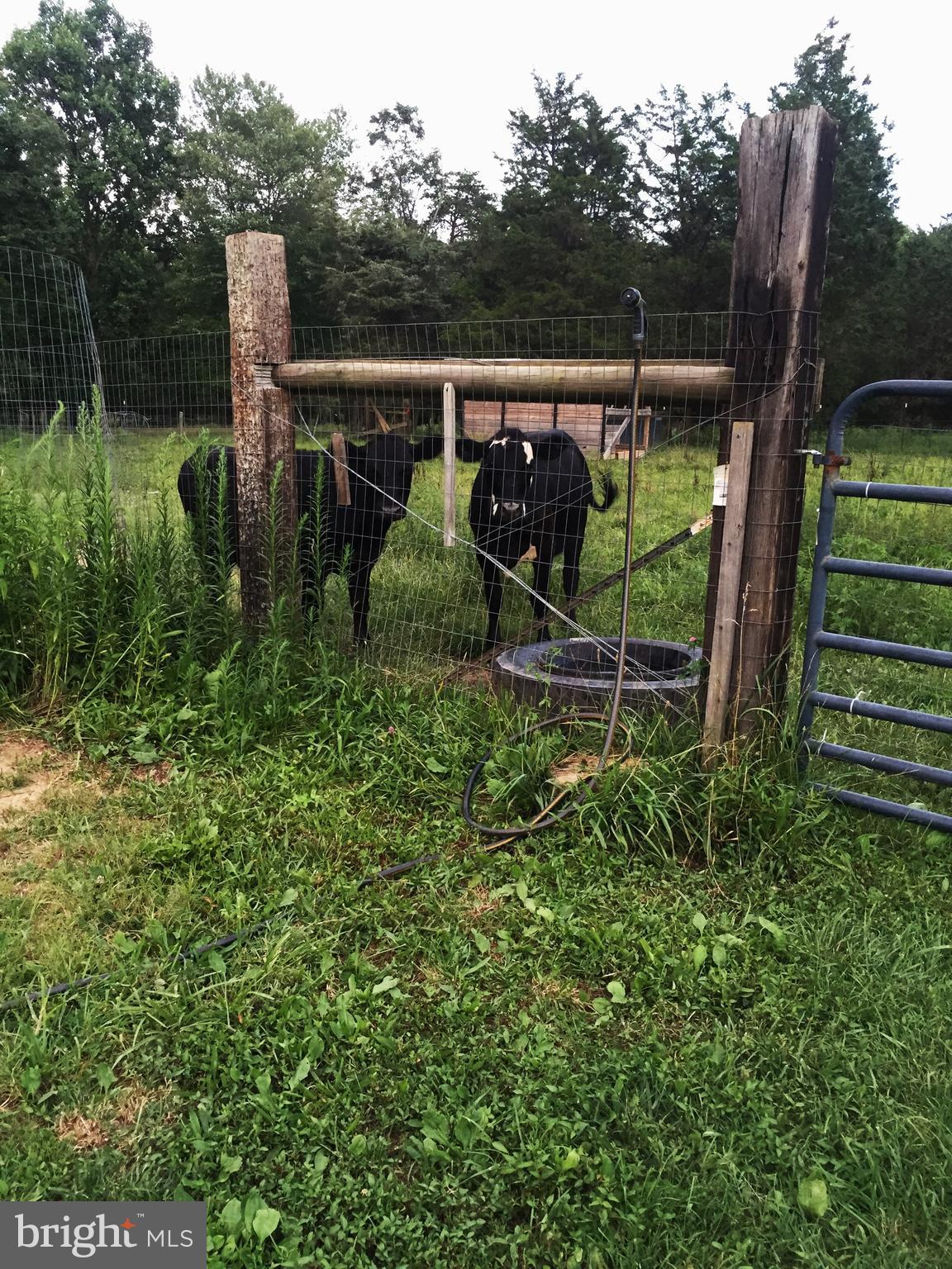 GOLDEN HILL ESTS - Residential