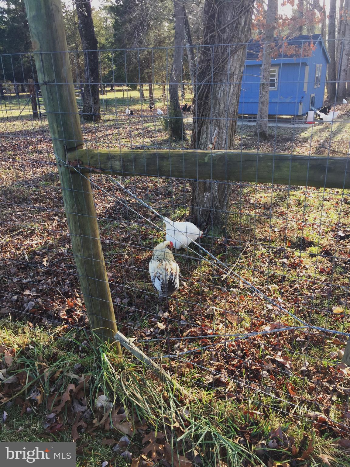 GOLDEN HILL ESTS - Residential