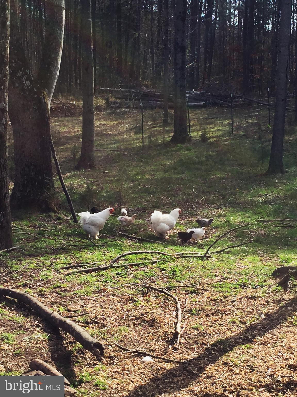 GOLDEN HILL ESTS - Residential