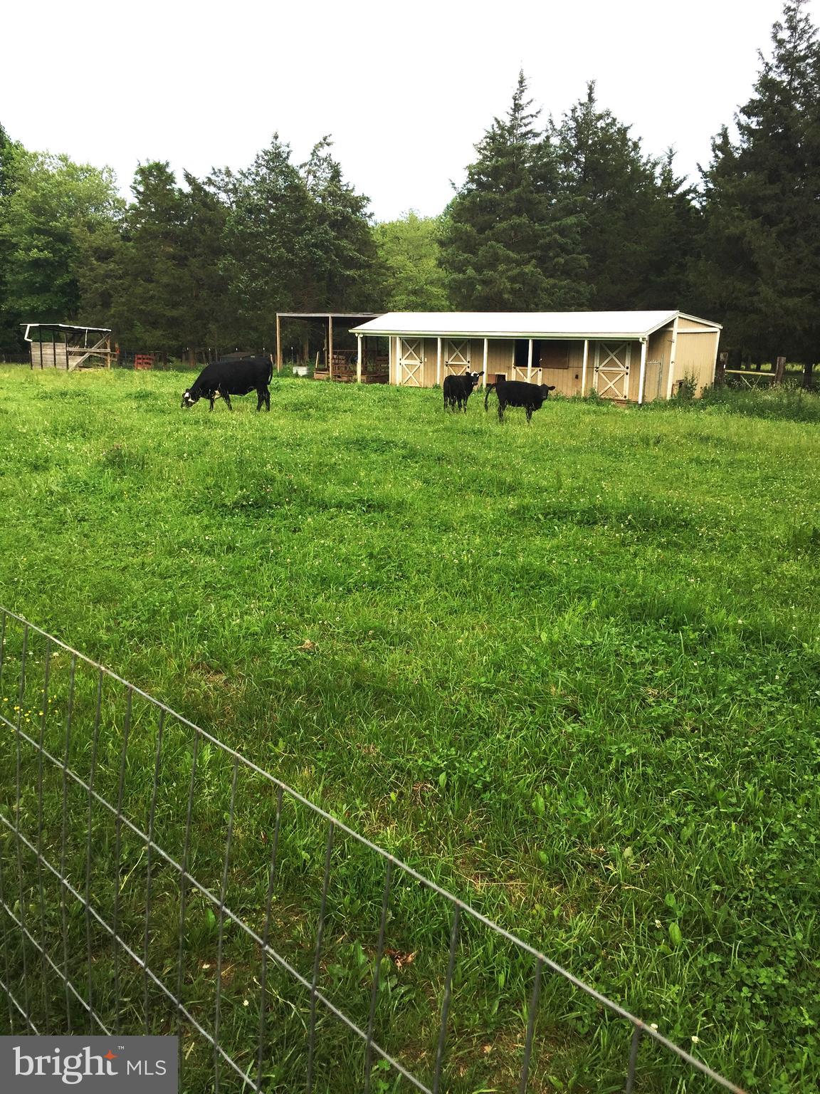 GOLDEN HILL ESTS - Residential