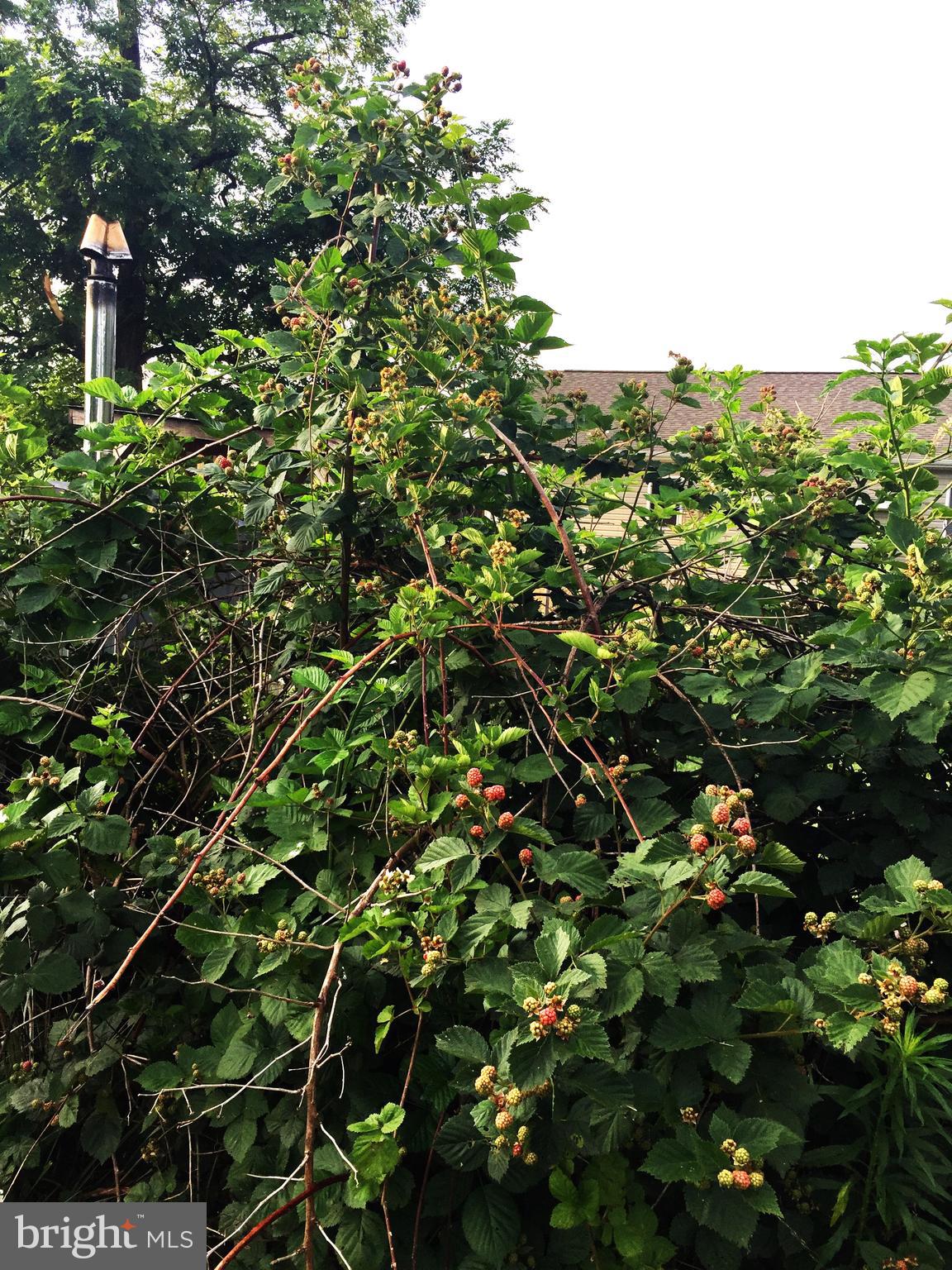 GOLDEN HILL ESTS - Residential