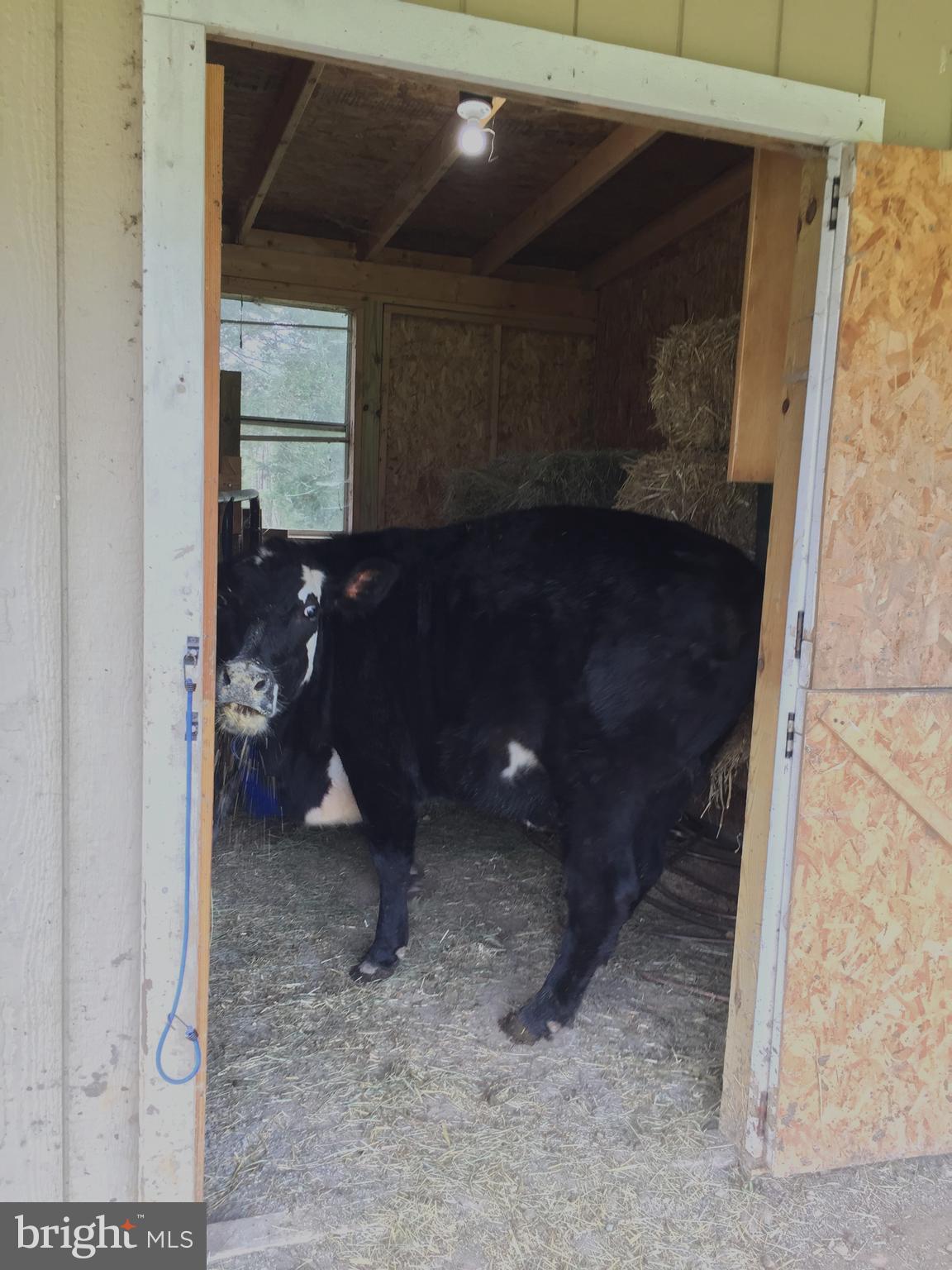 GOLDEN HILL ESTS - Residential