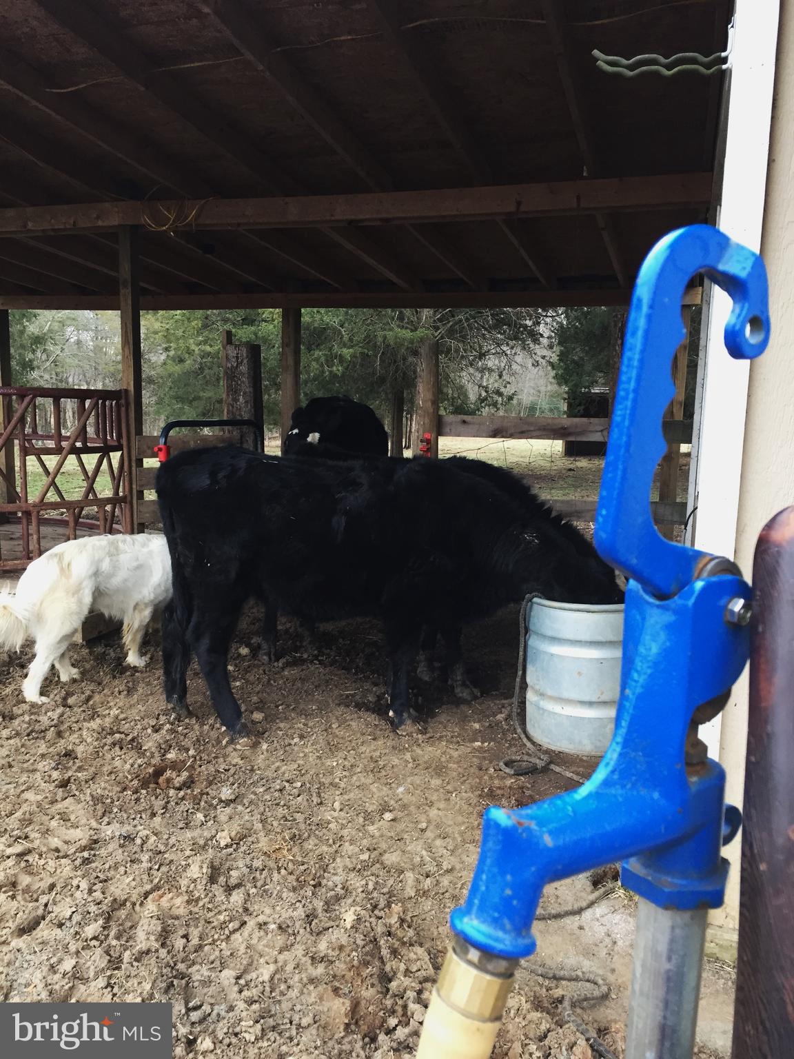 GOLDEN HILL ESTS - Residential