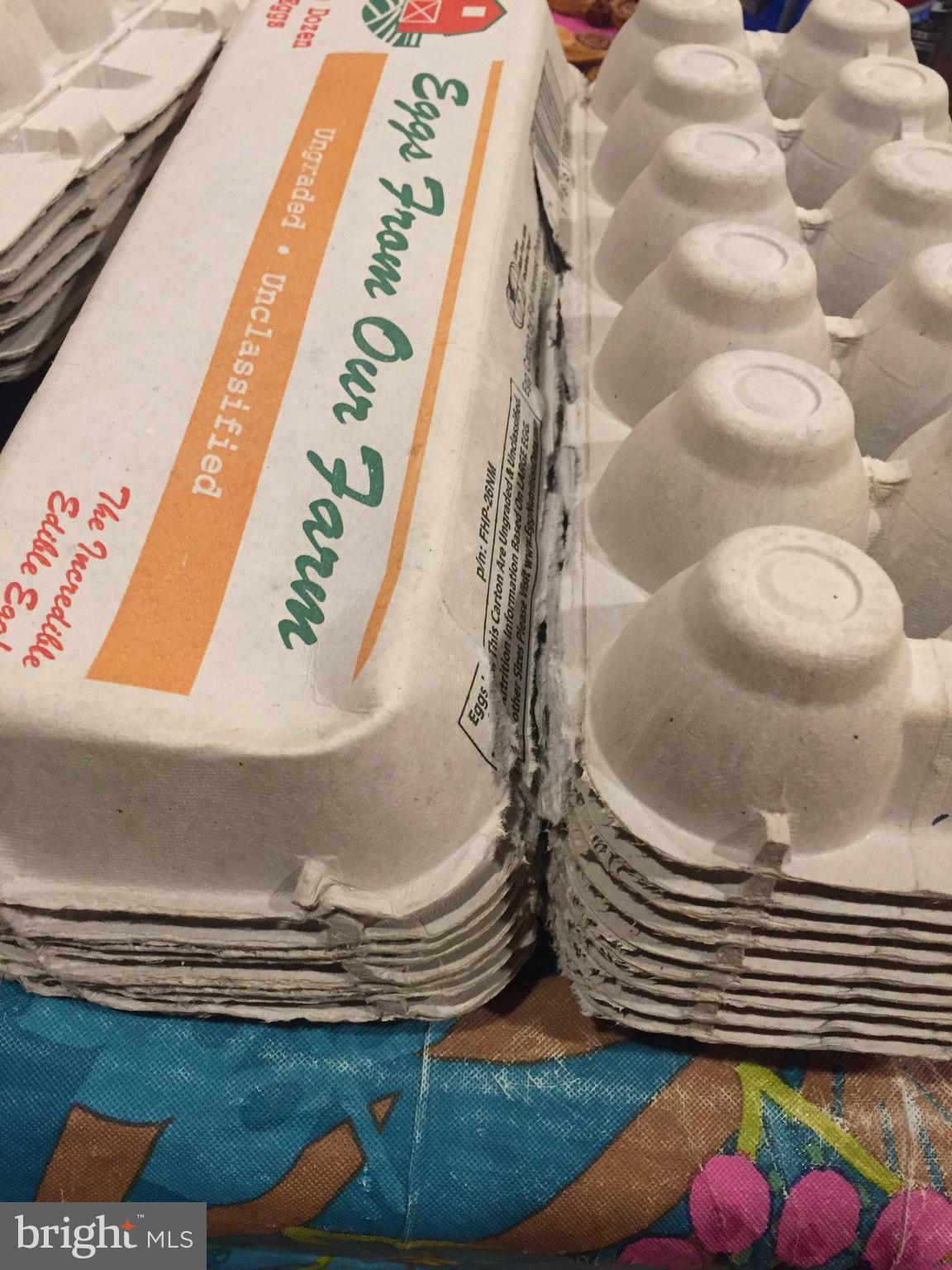 GOLDEN HILL ESTS - Residential