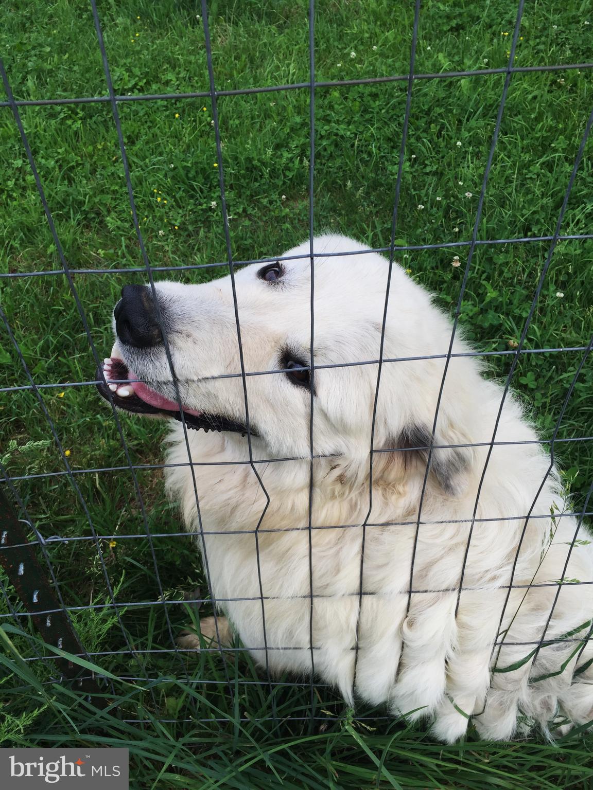 GOLDEN HILL ESTS - Residential