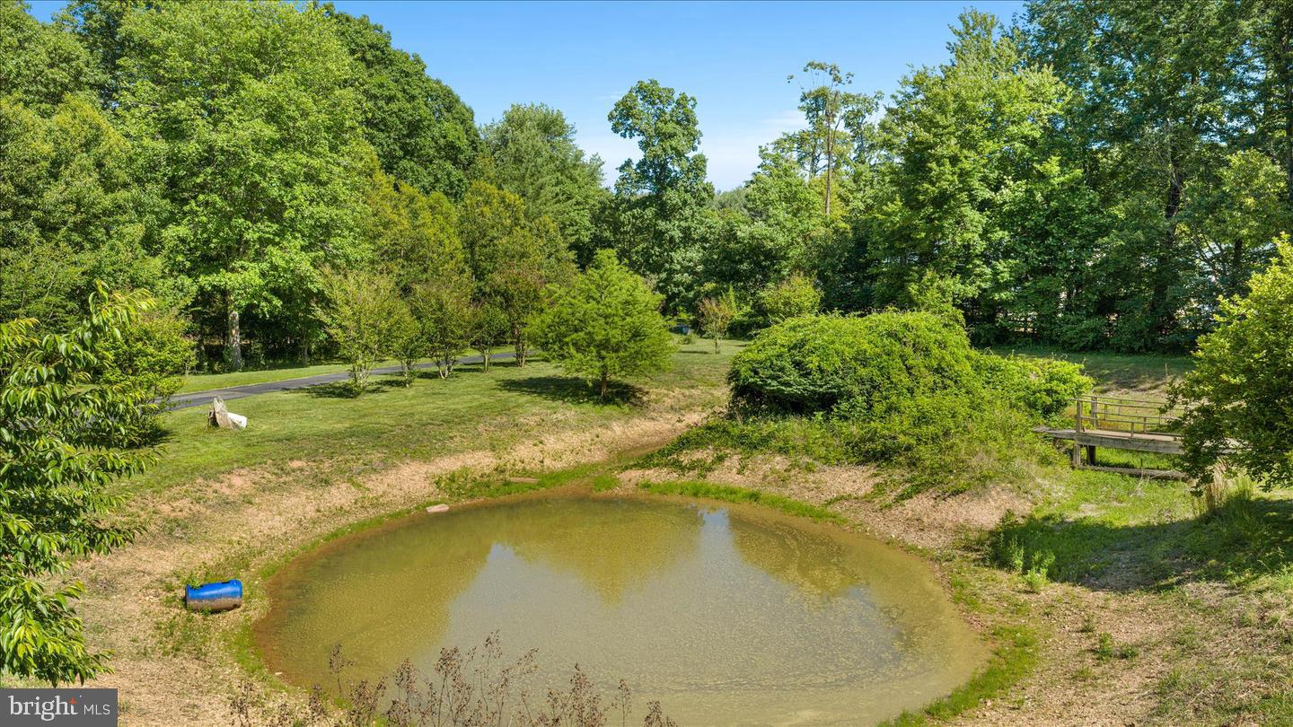 41216 BRIDGES FARM LANE