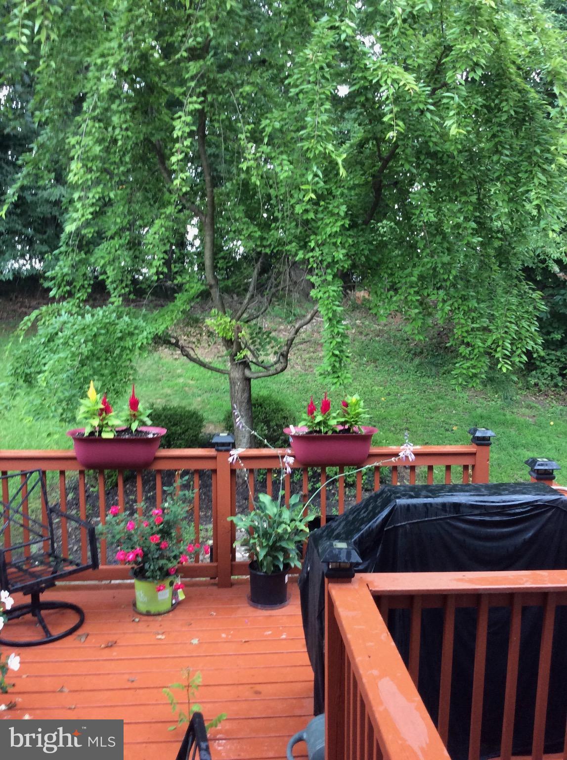 KINGS POINT - Residential