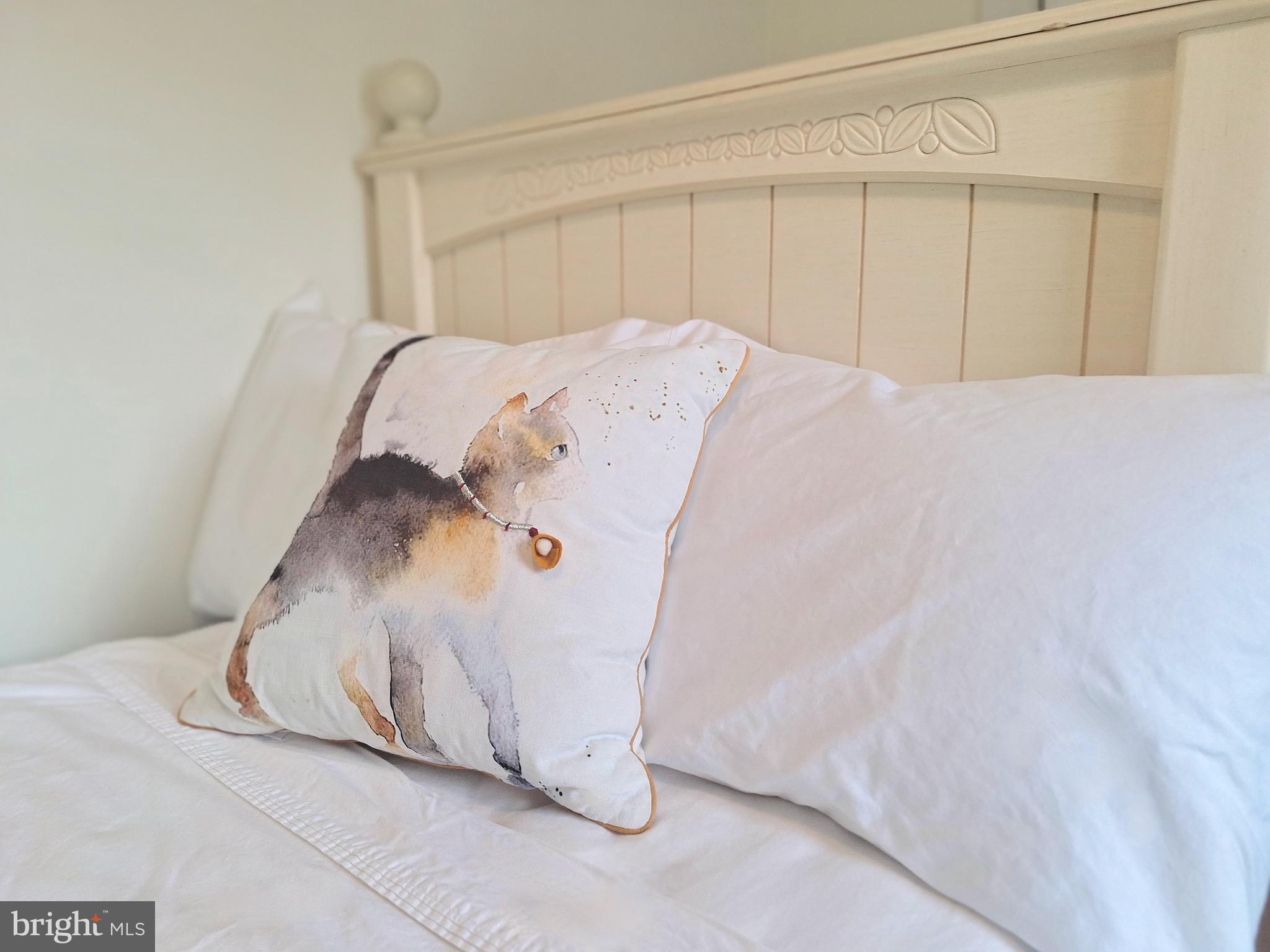 COAL TOWNSHIP - Residential