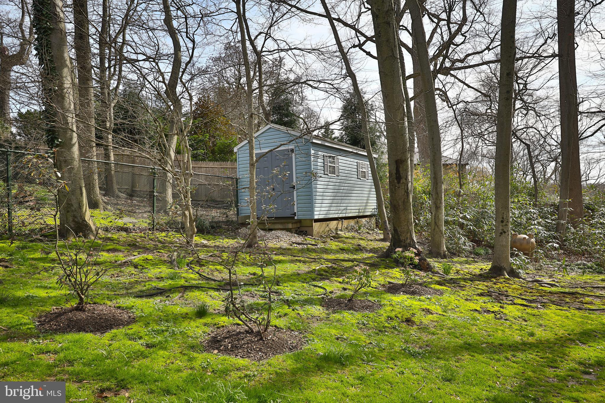 CHESTNUT HILL - Residential