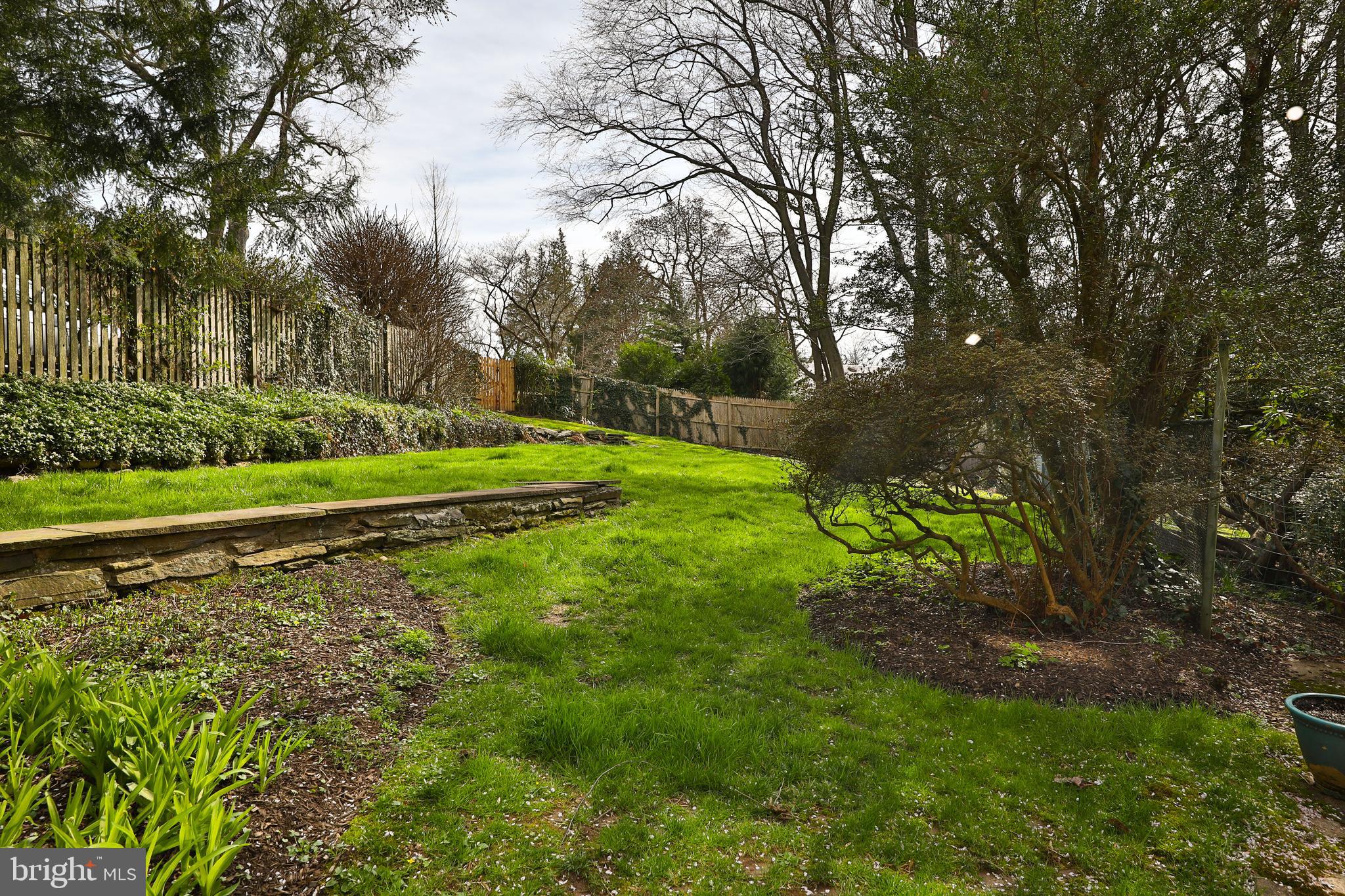 CHESTNUT HILL - Residential