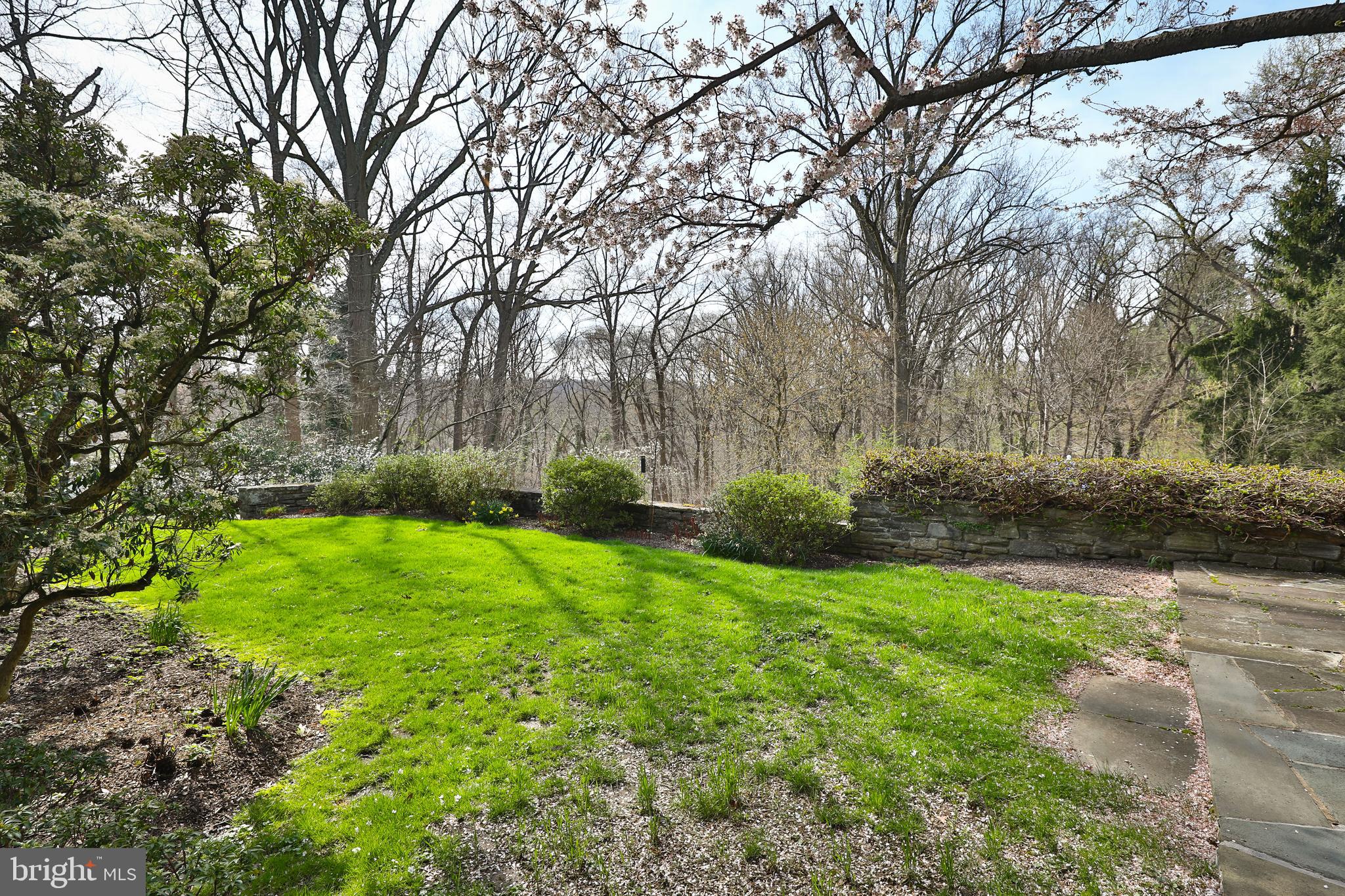 CHESTNUT HILL - Residential