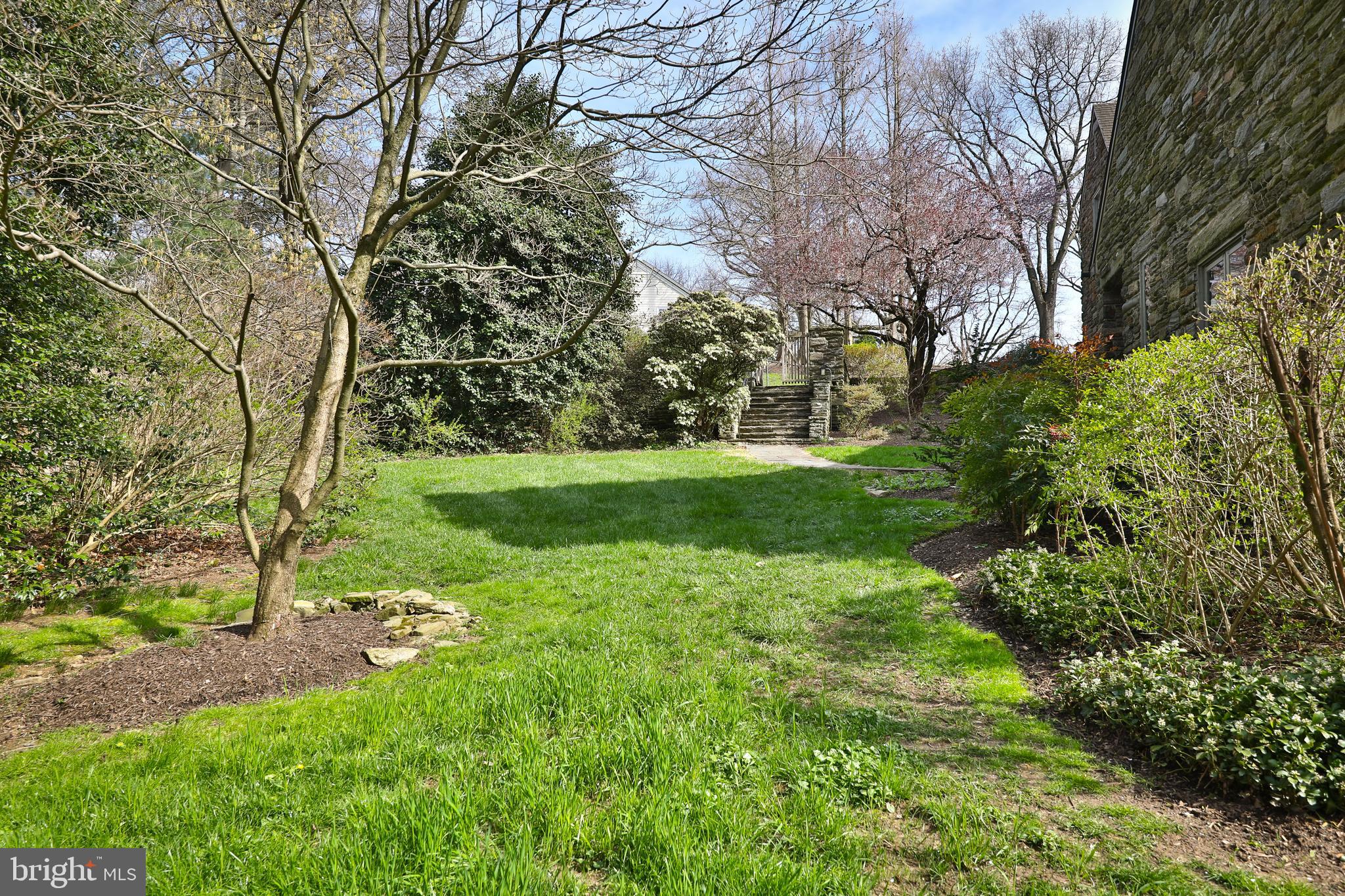 CHESTNUT HILL - Residential