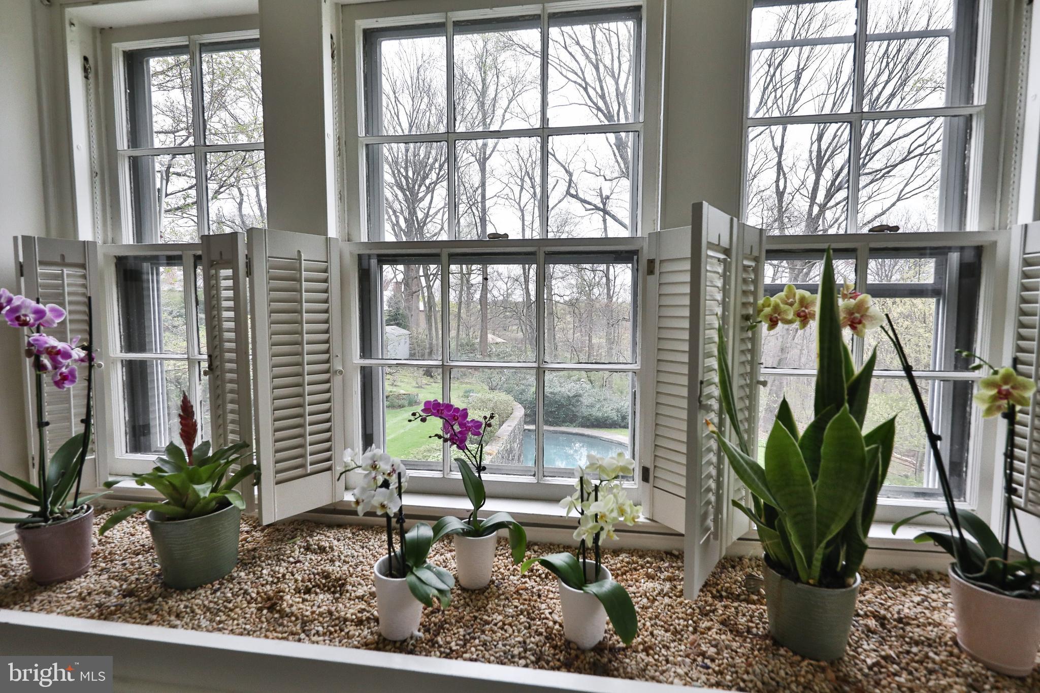 CHESTNUT HILL - Residential