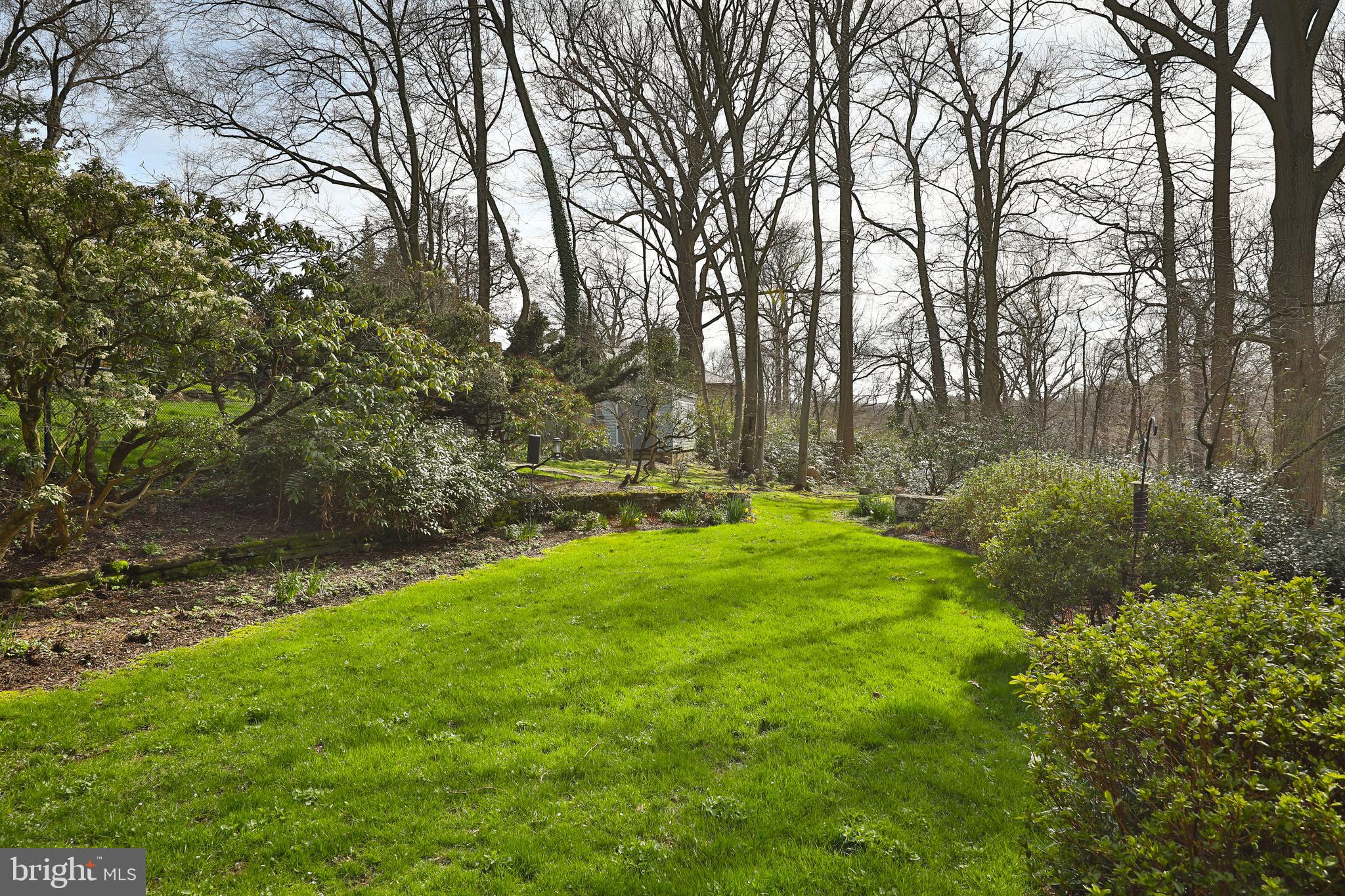 CHESTNUT HILL - Residential