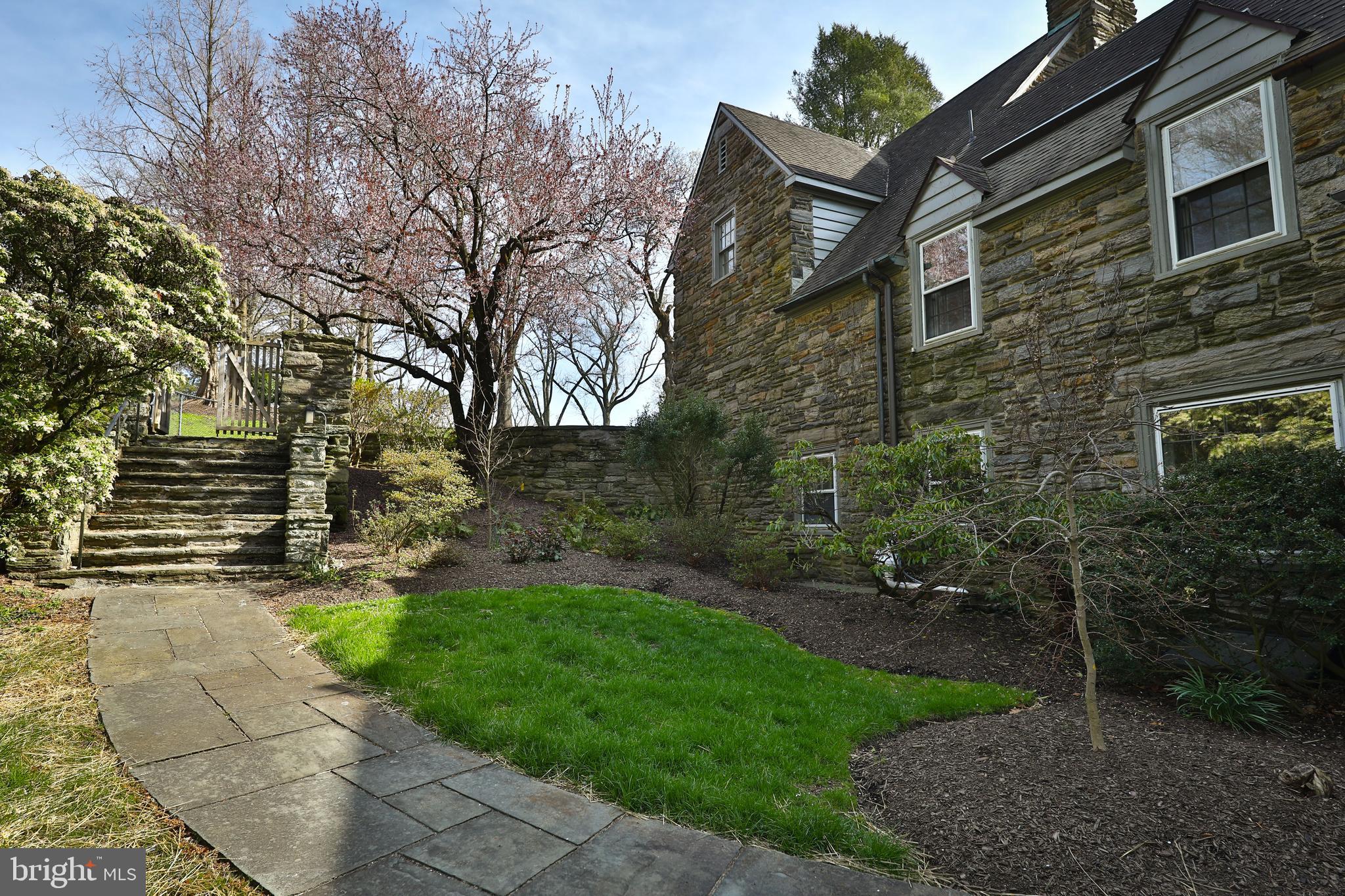 CHESTNUT HILL - Residential