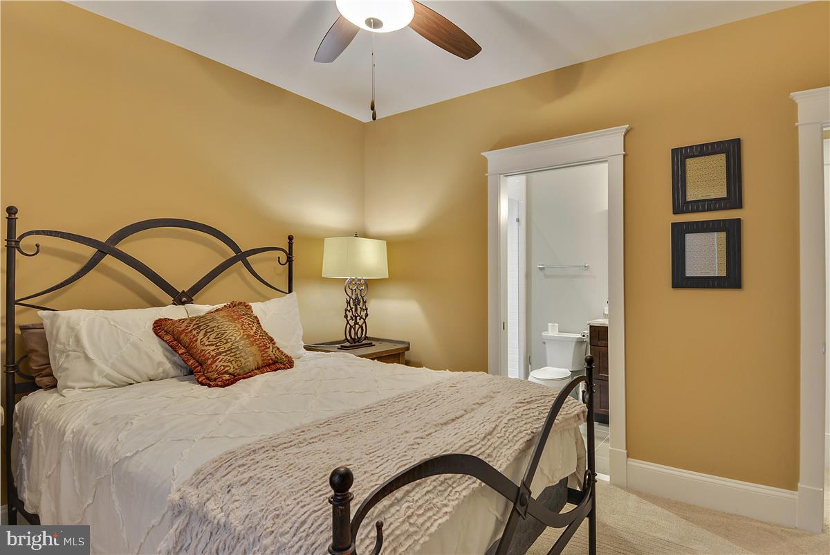 CLARENDON - Residential