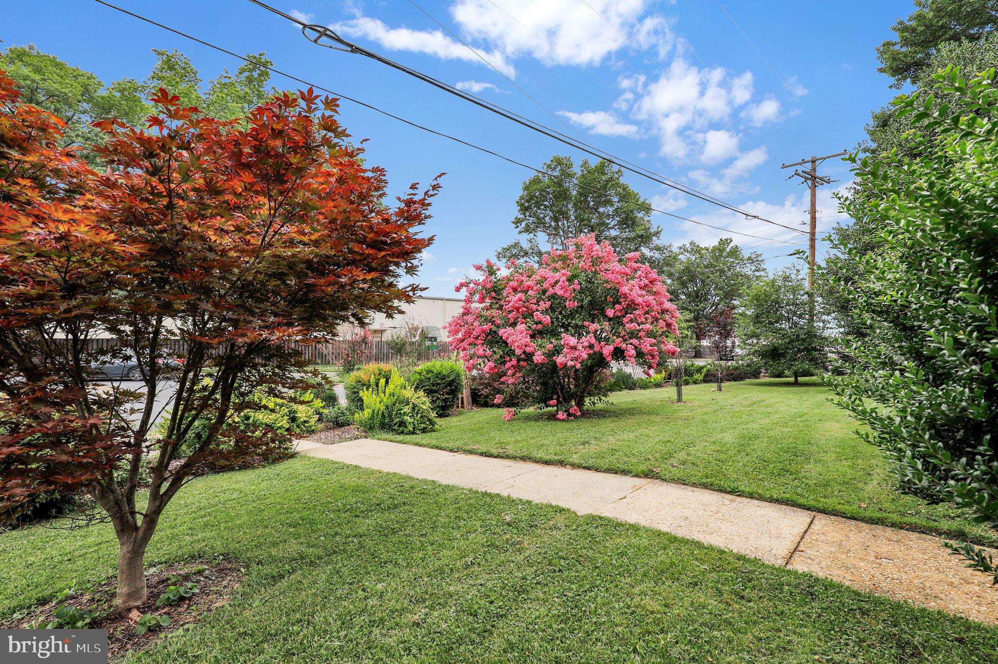 TAKOMA PARK - Residential
