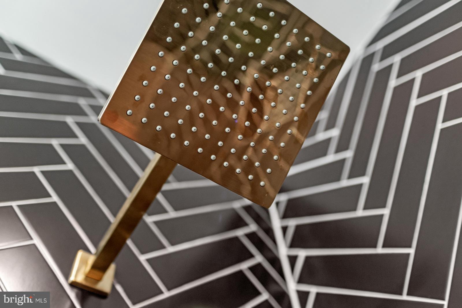 MOUNT RAINIER - Residential