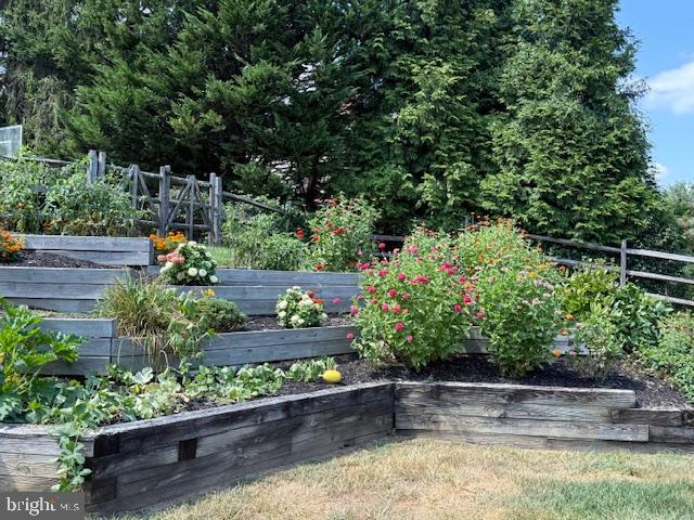 BOW TREE - Residential