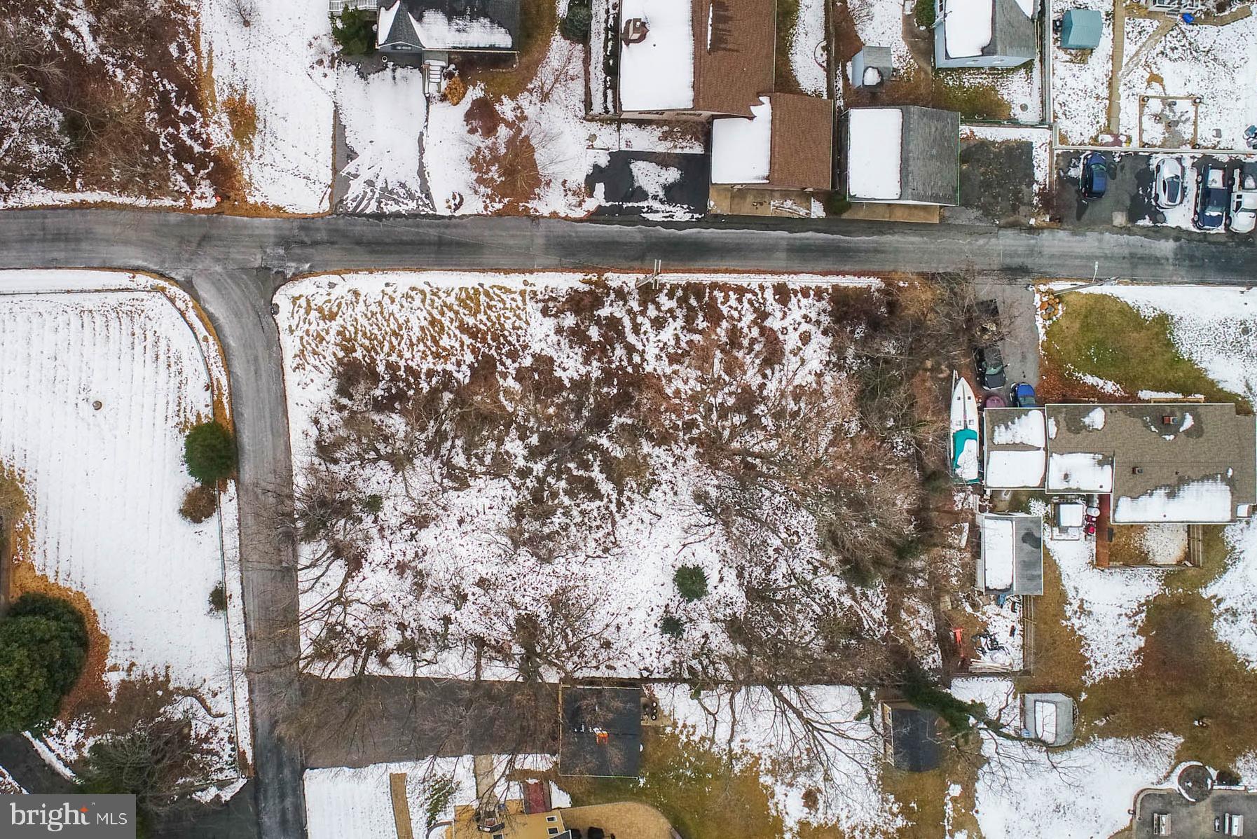 HOLLY NECK - Land
