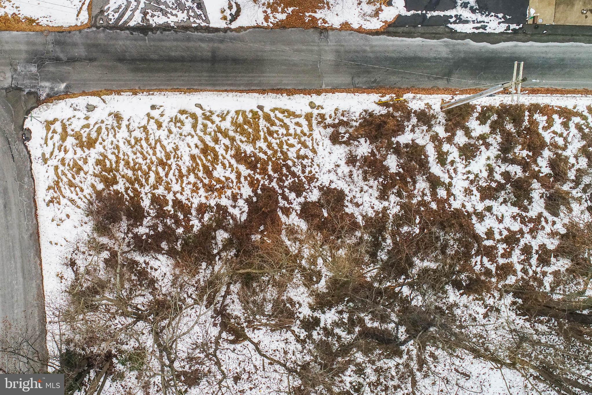 HOLLY NECK - Land