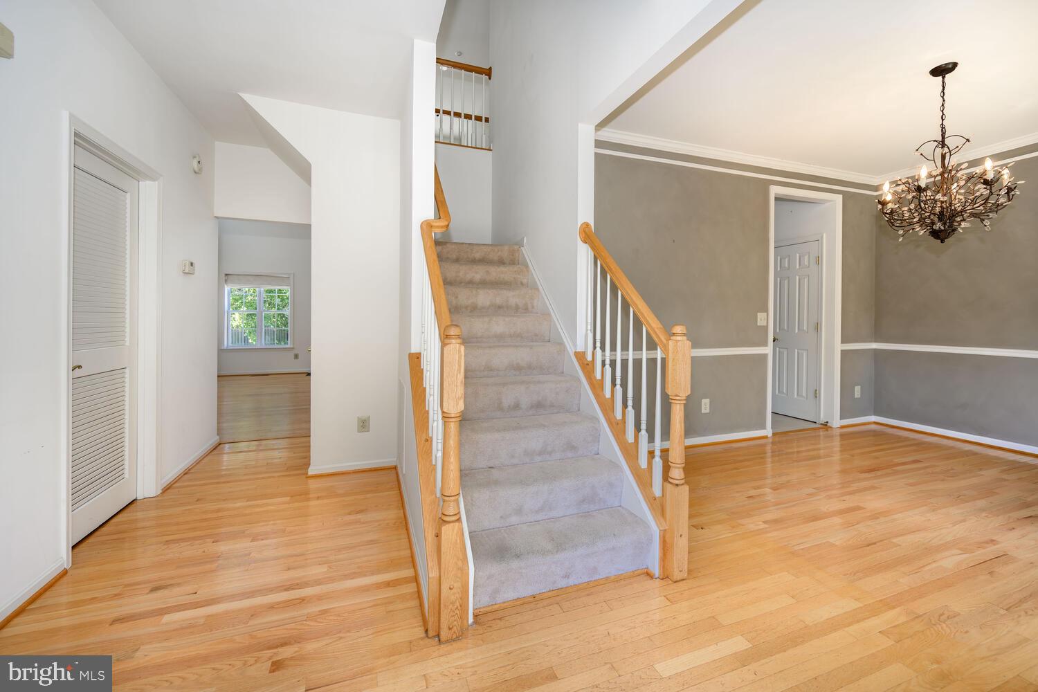 WOODS AT STONEY RIDGE - Residential