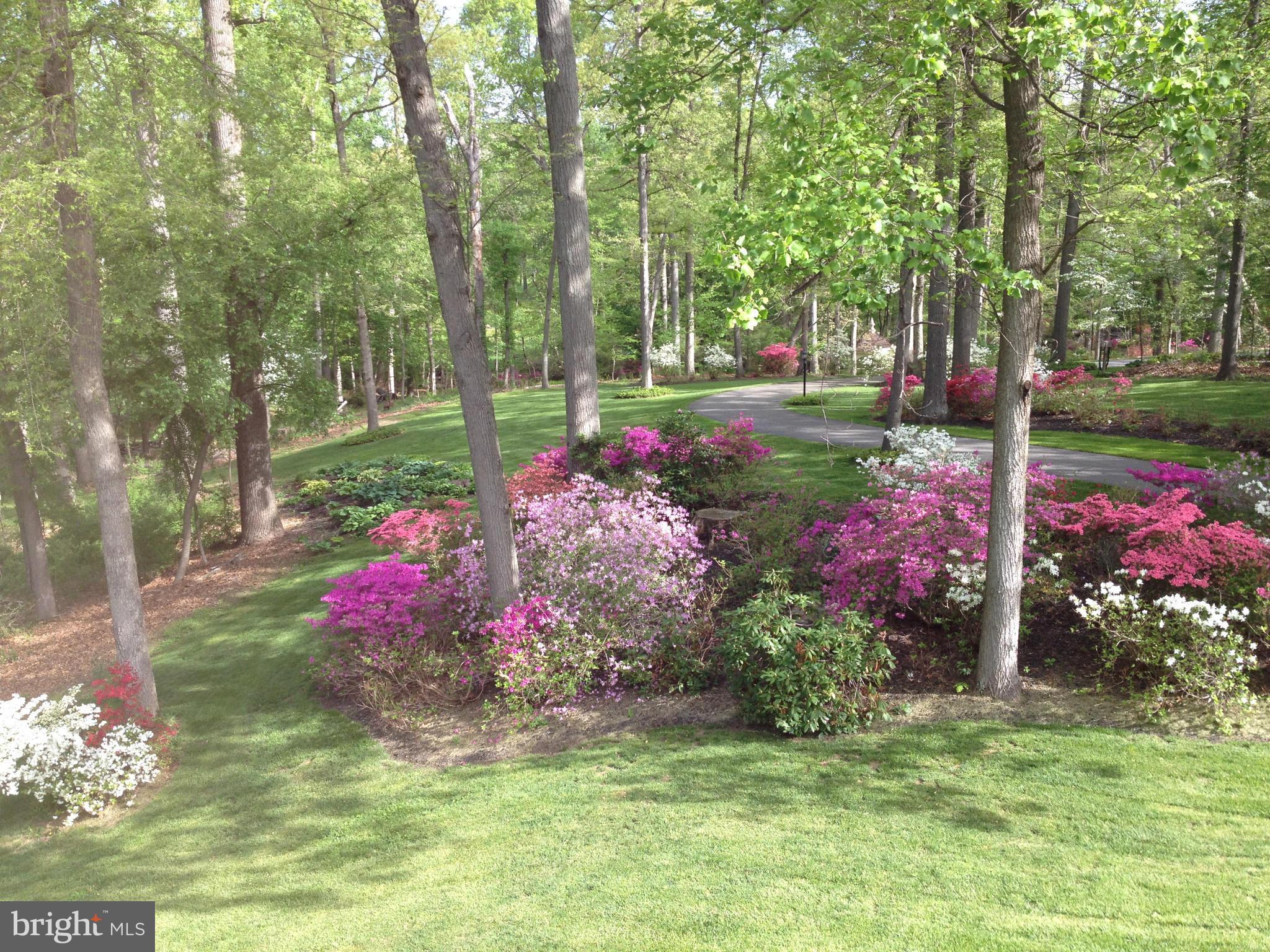 WESLEY HILLS - Residential