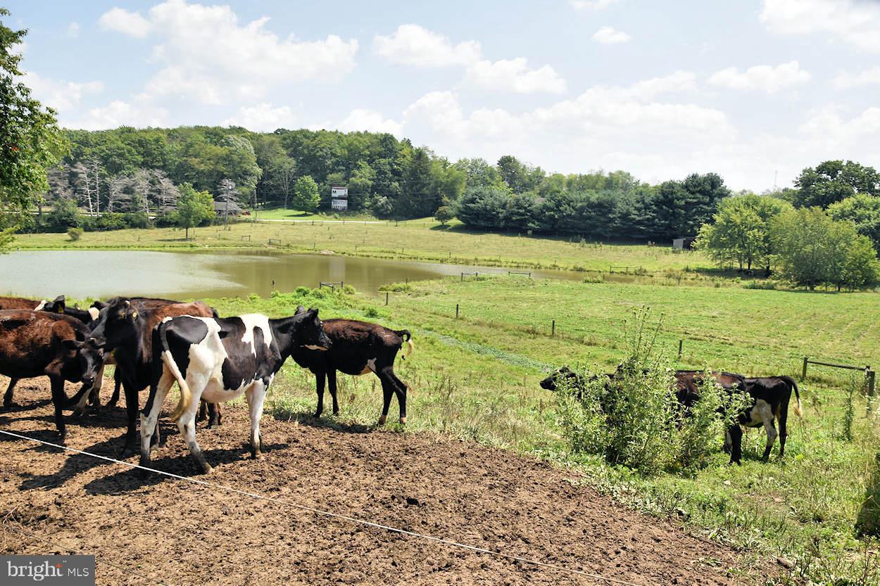 SOMERSET COUNTY - Farm