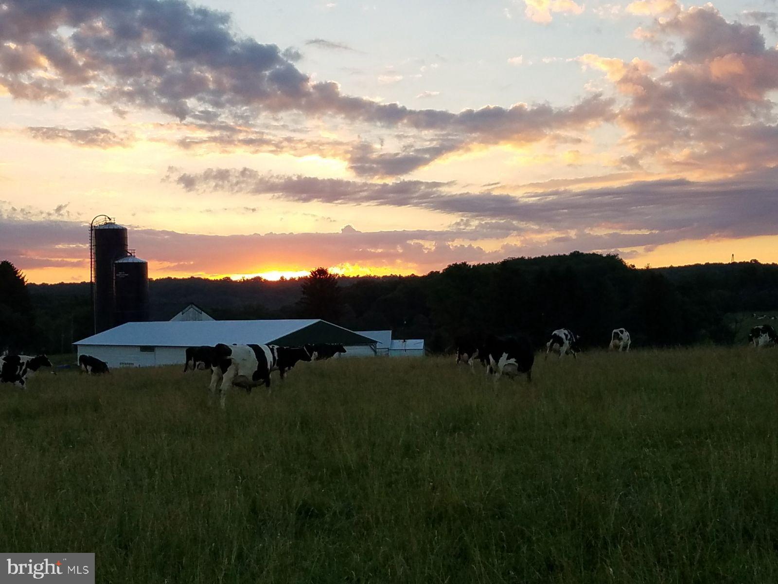 SOMERSET COUNTY - Farm