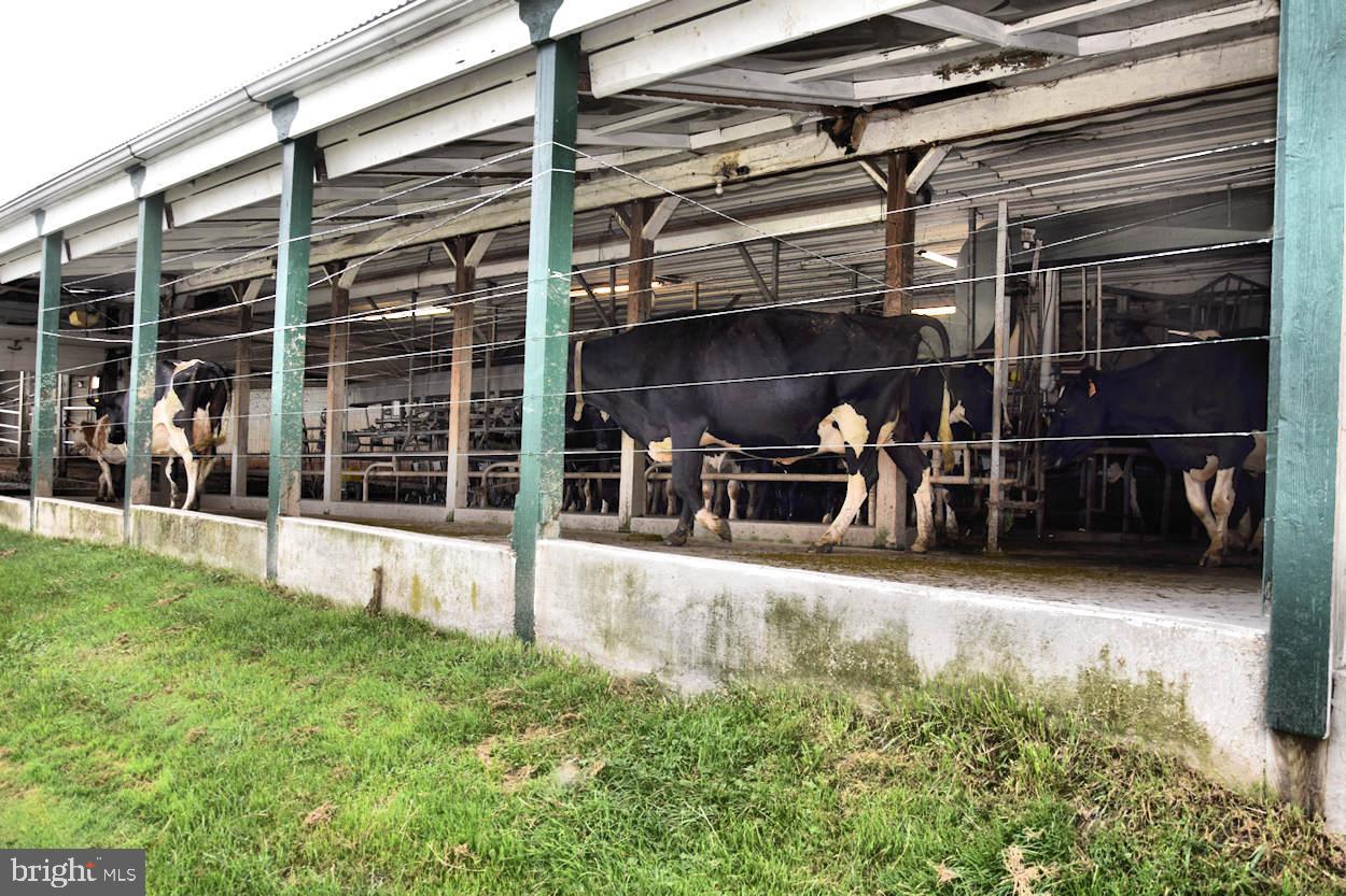 SOMERSET COUNTY - Farm