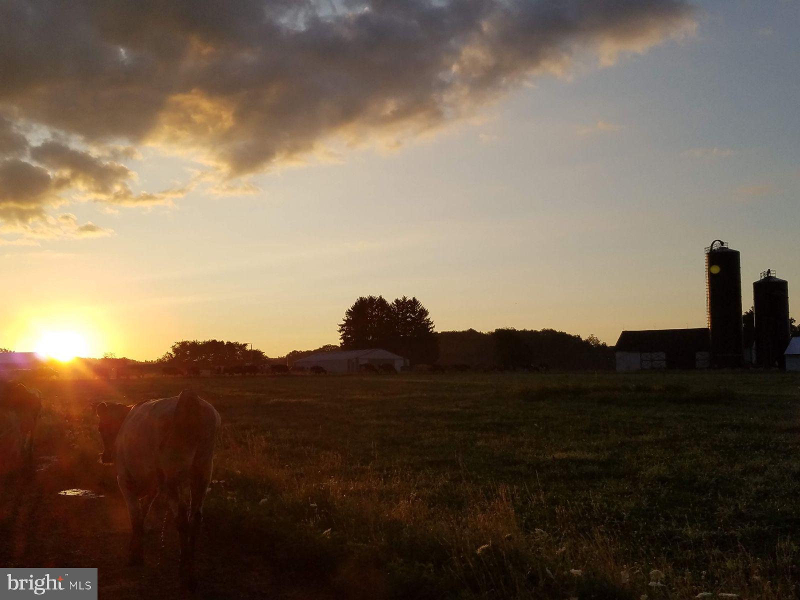 SOMERSET COUNTY - Farm