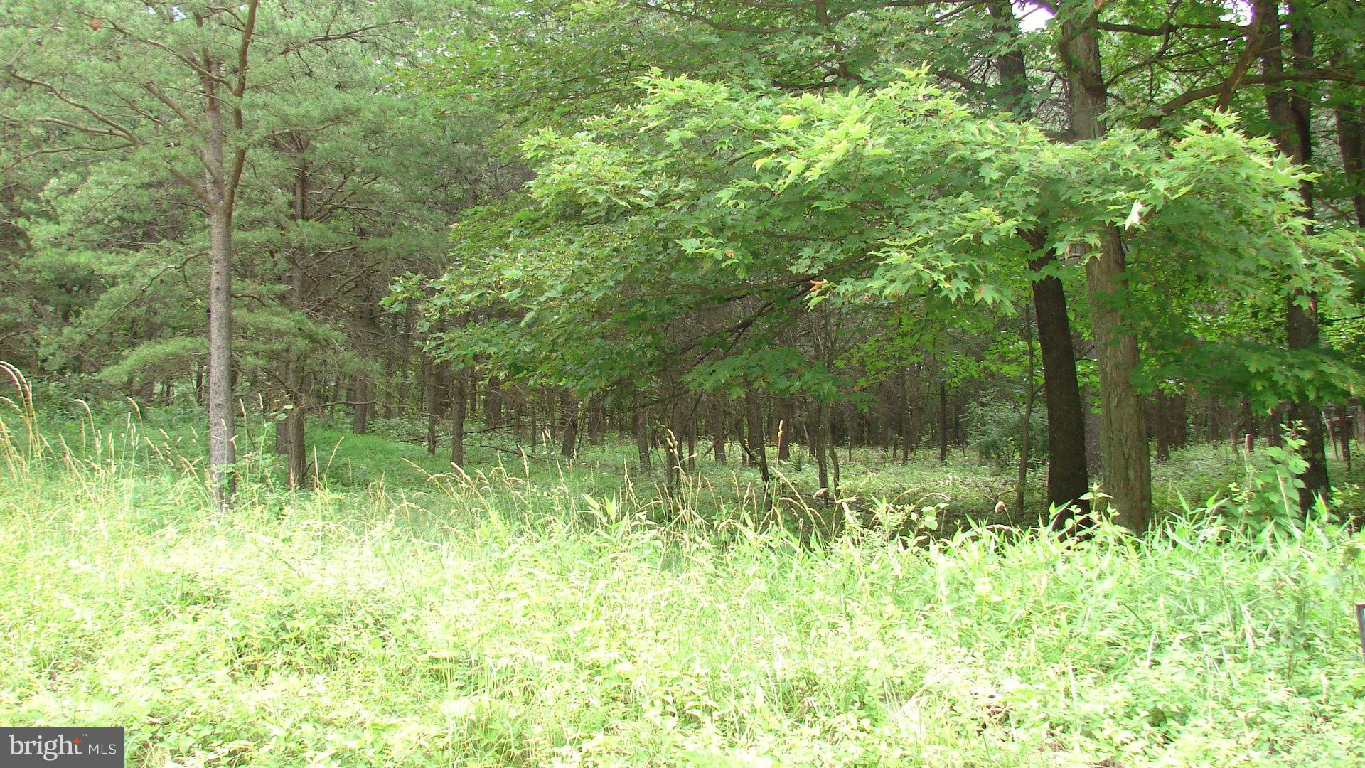 POTOMAC WOODS - Land