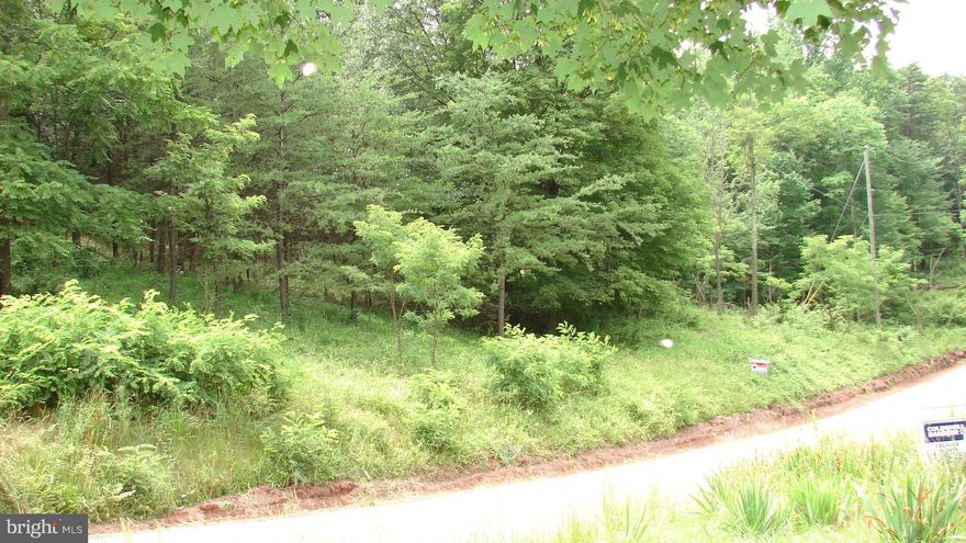 Very nice 4.22 acre lot located in Potomac Woods SD along Gaither Road in Western Morgan County. Lot has road frontage on State maintained road and also has access road to enter property on the North side.Property is not far from the Potomac River.This rural sub division has covenants and restrictions but no current HOA fees. Please call for information.