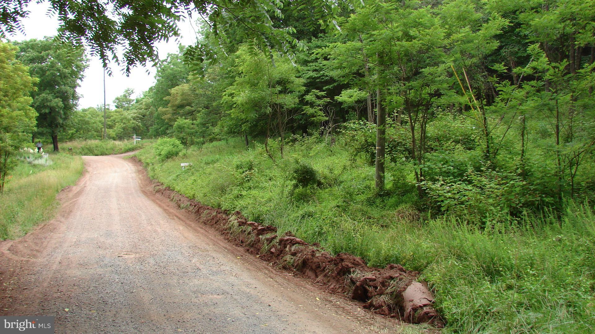 POTOMAC WOODS - Land