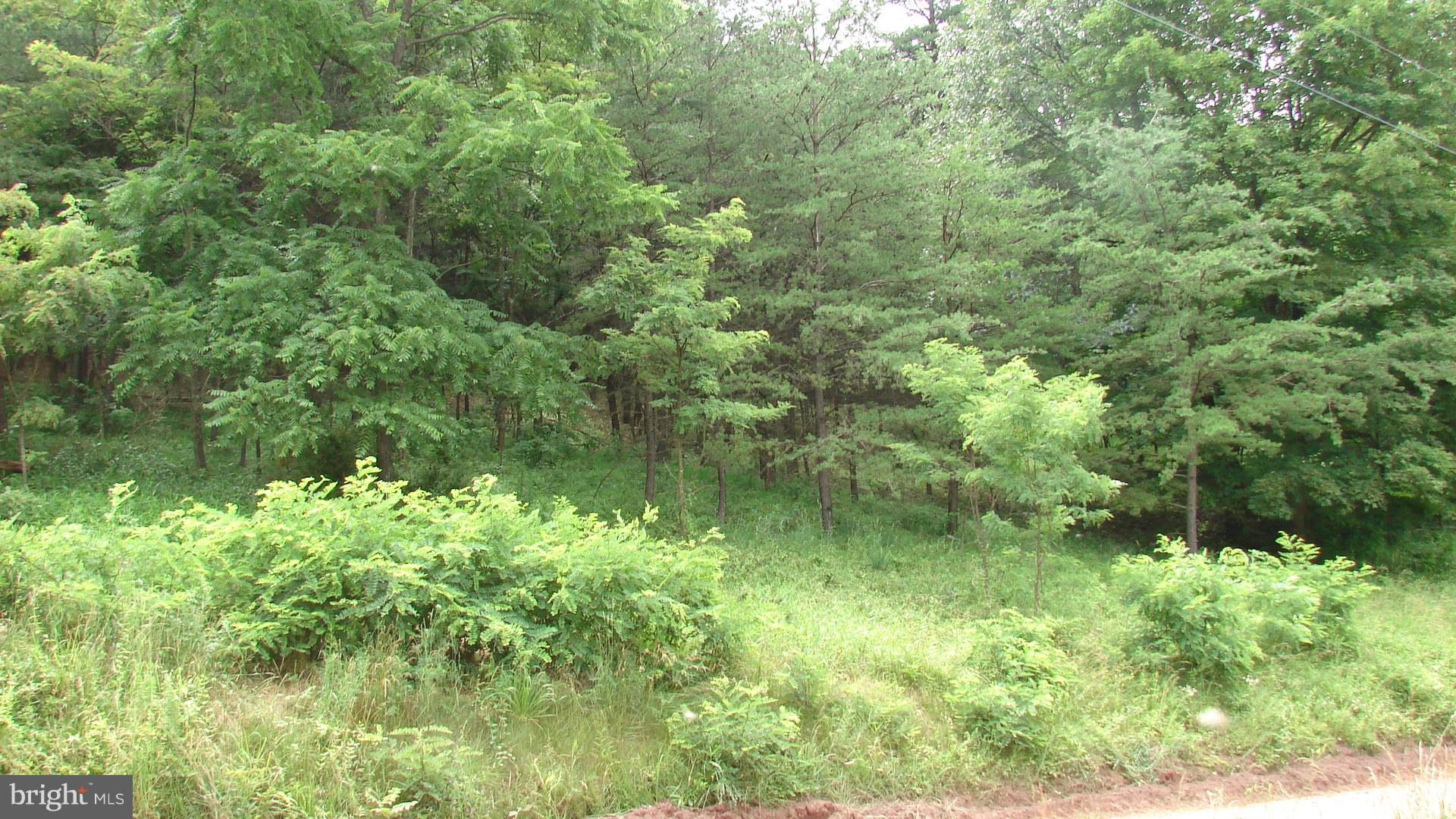 POTOMAC WOODS - Land