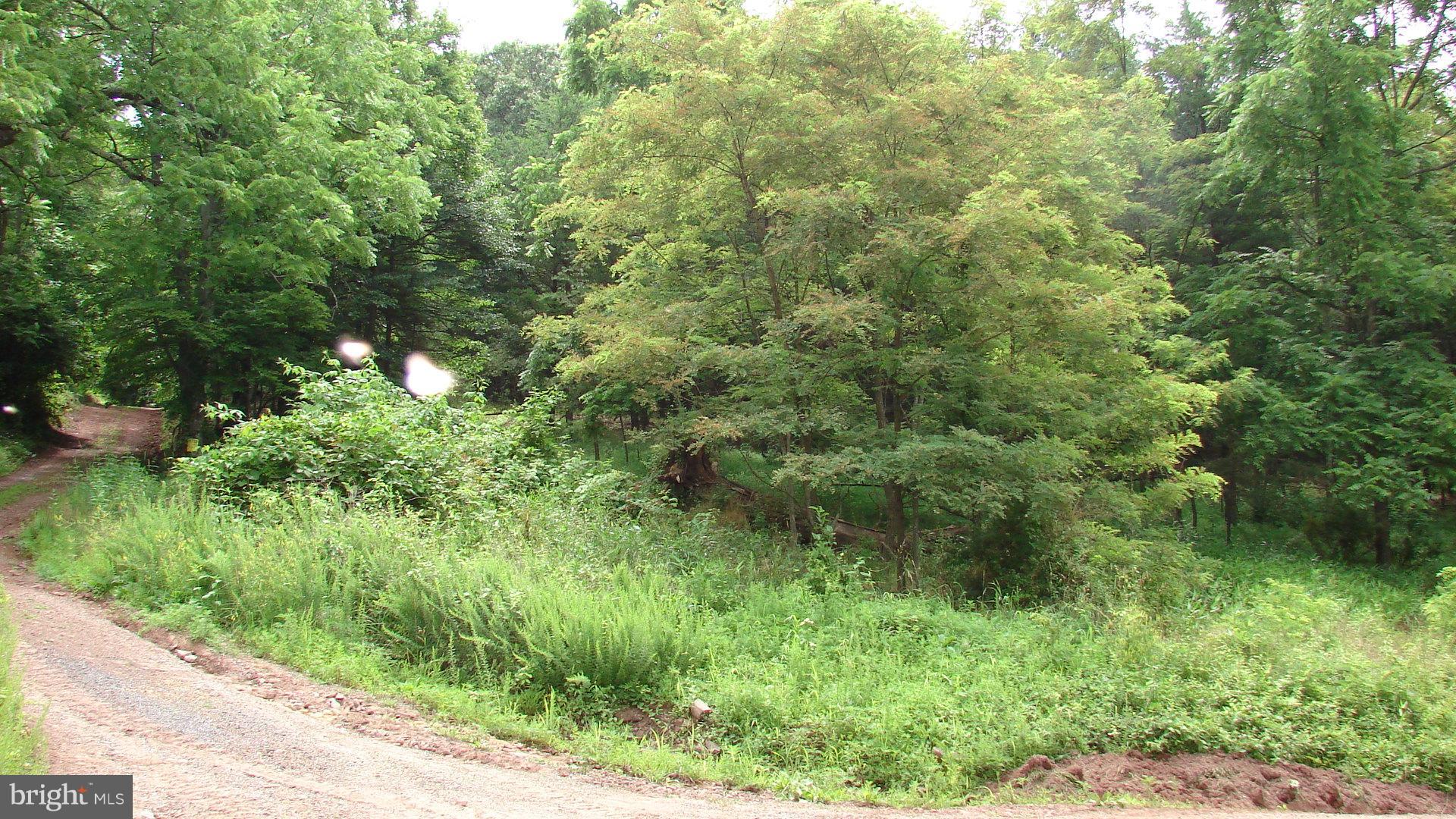 POTOMAC WOODS - Land