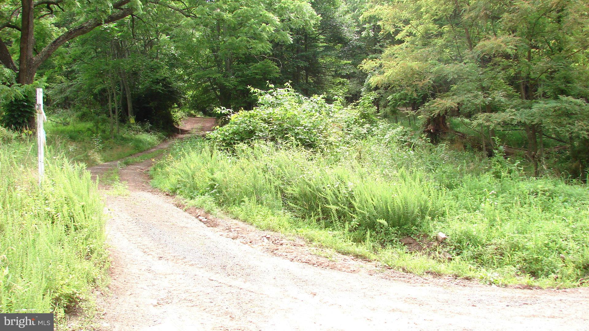 POTOMAC WOODS - Land