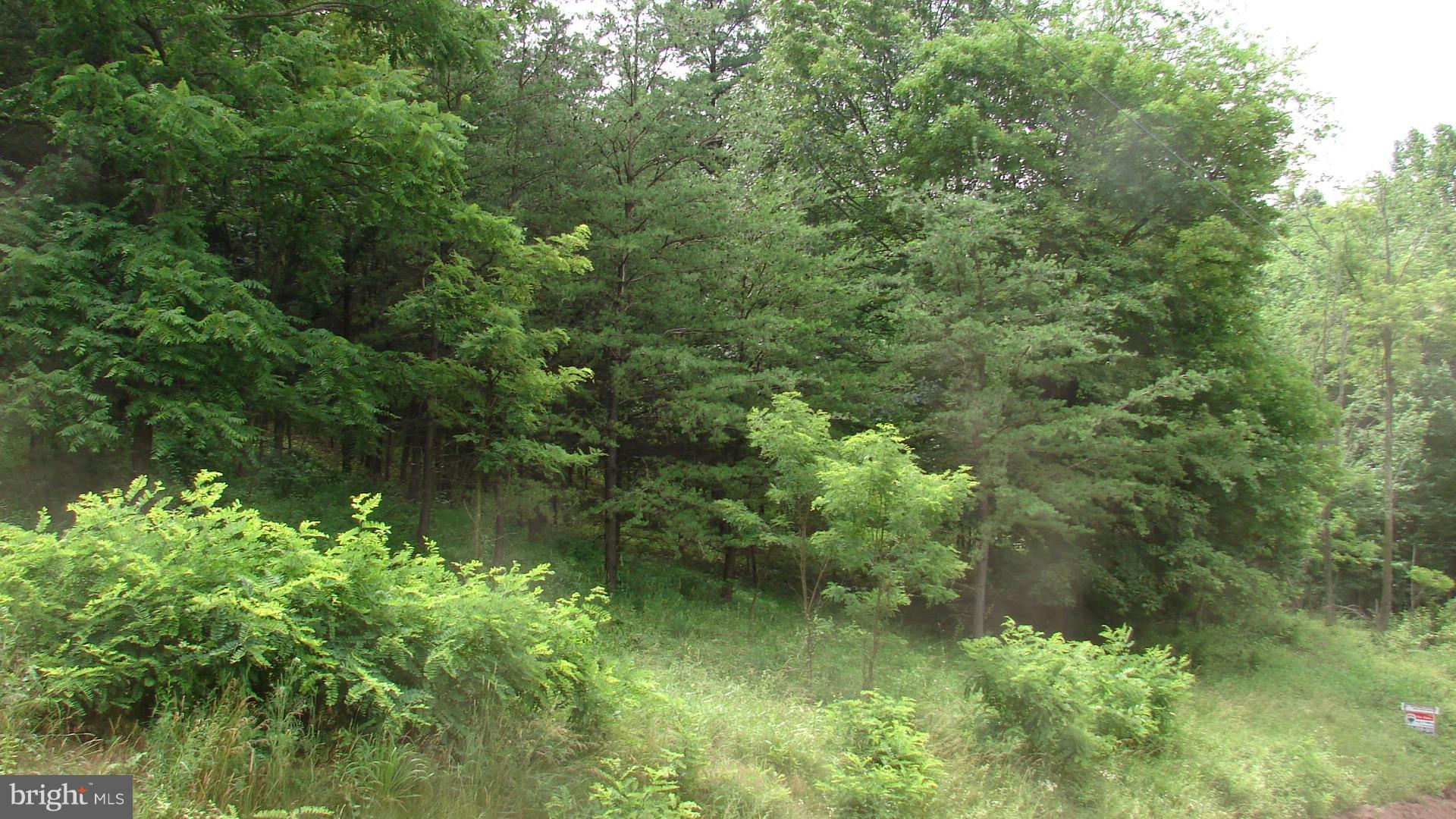 POTOMAC WOODS - Land