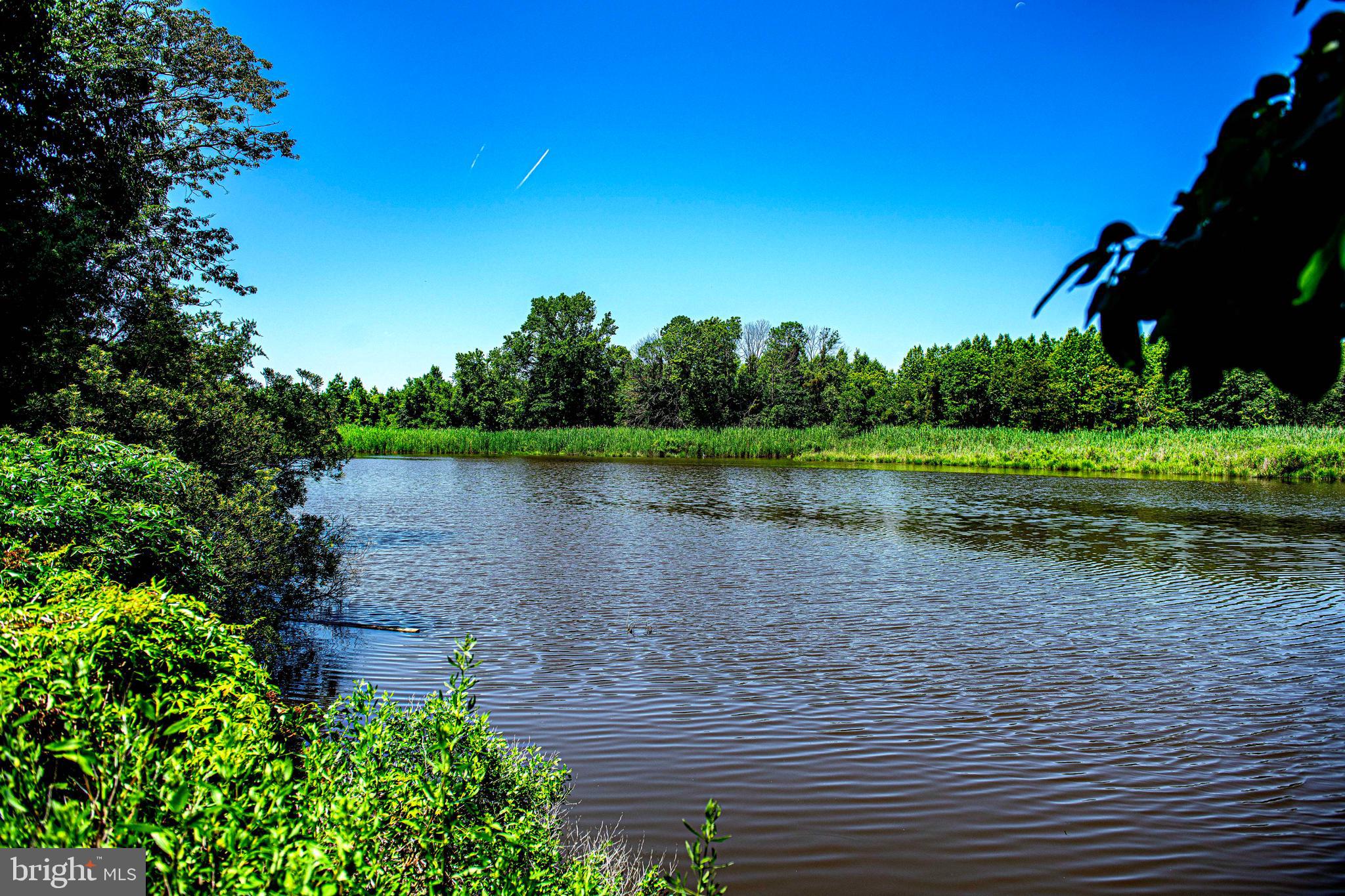 THOMPSON CREEK CONDOS - Residential