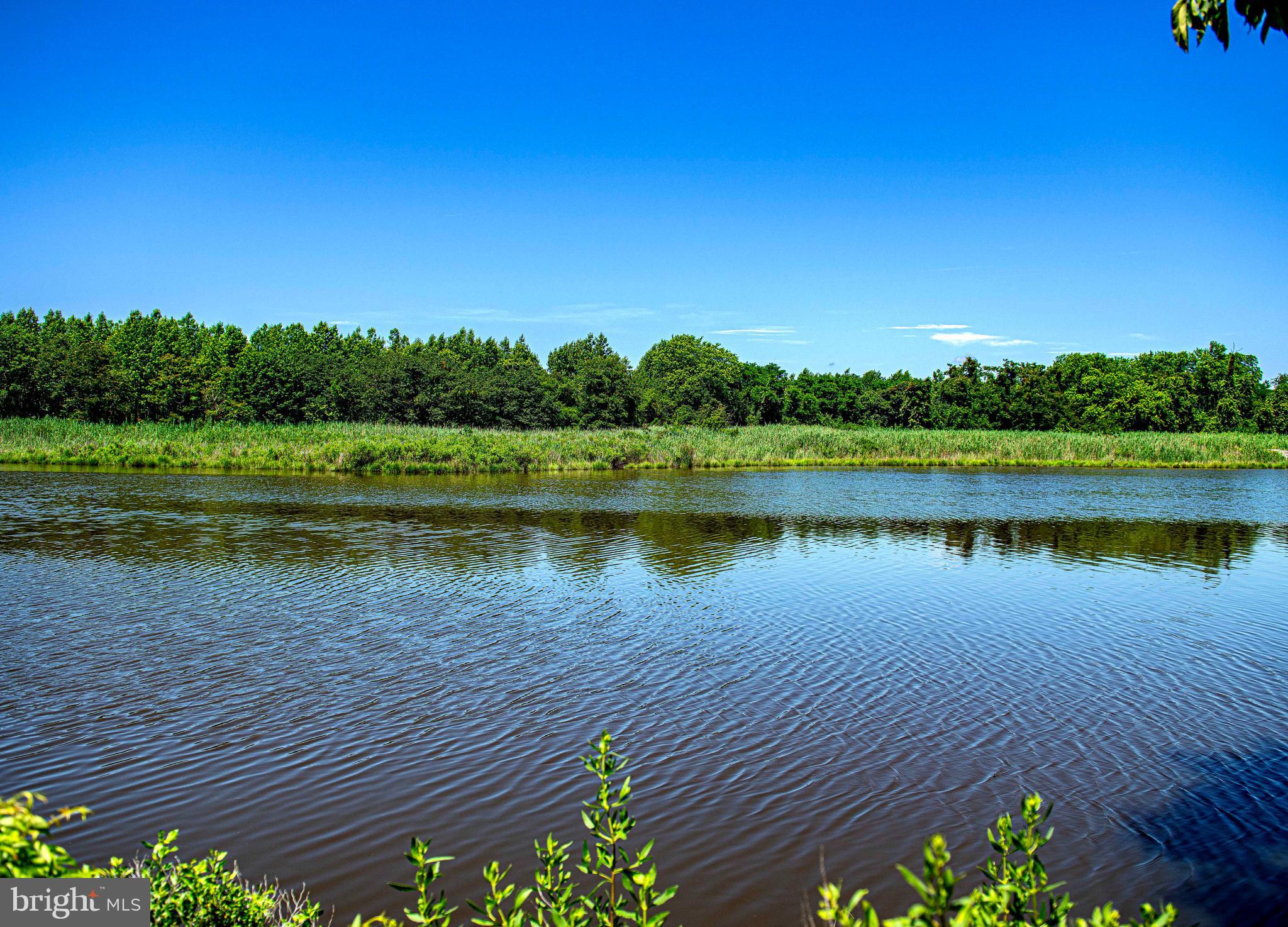 THOMPSON CREEK CONDOS - Residential